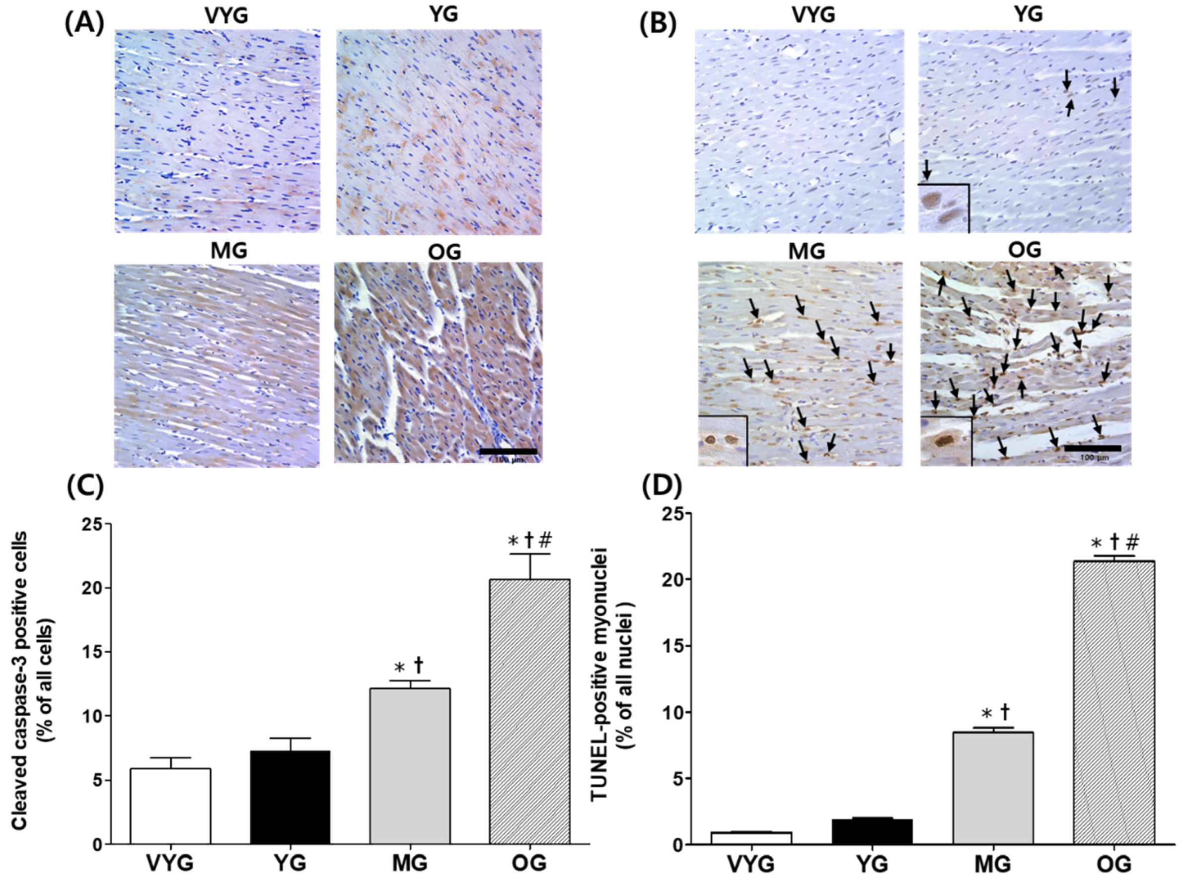 Life 10 00178 g003 Life 10 00178 g003
