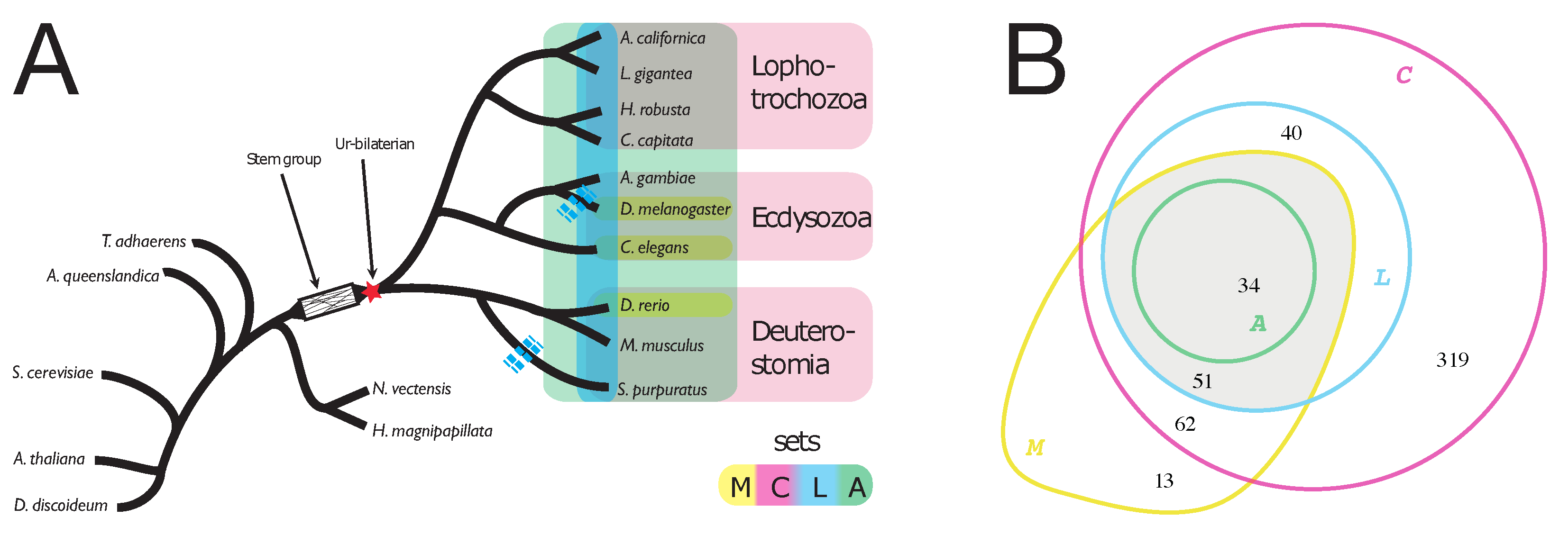 Life 10 00182 g001 Life 10 00182 g001