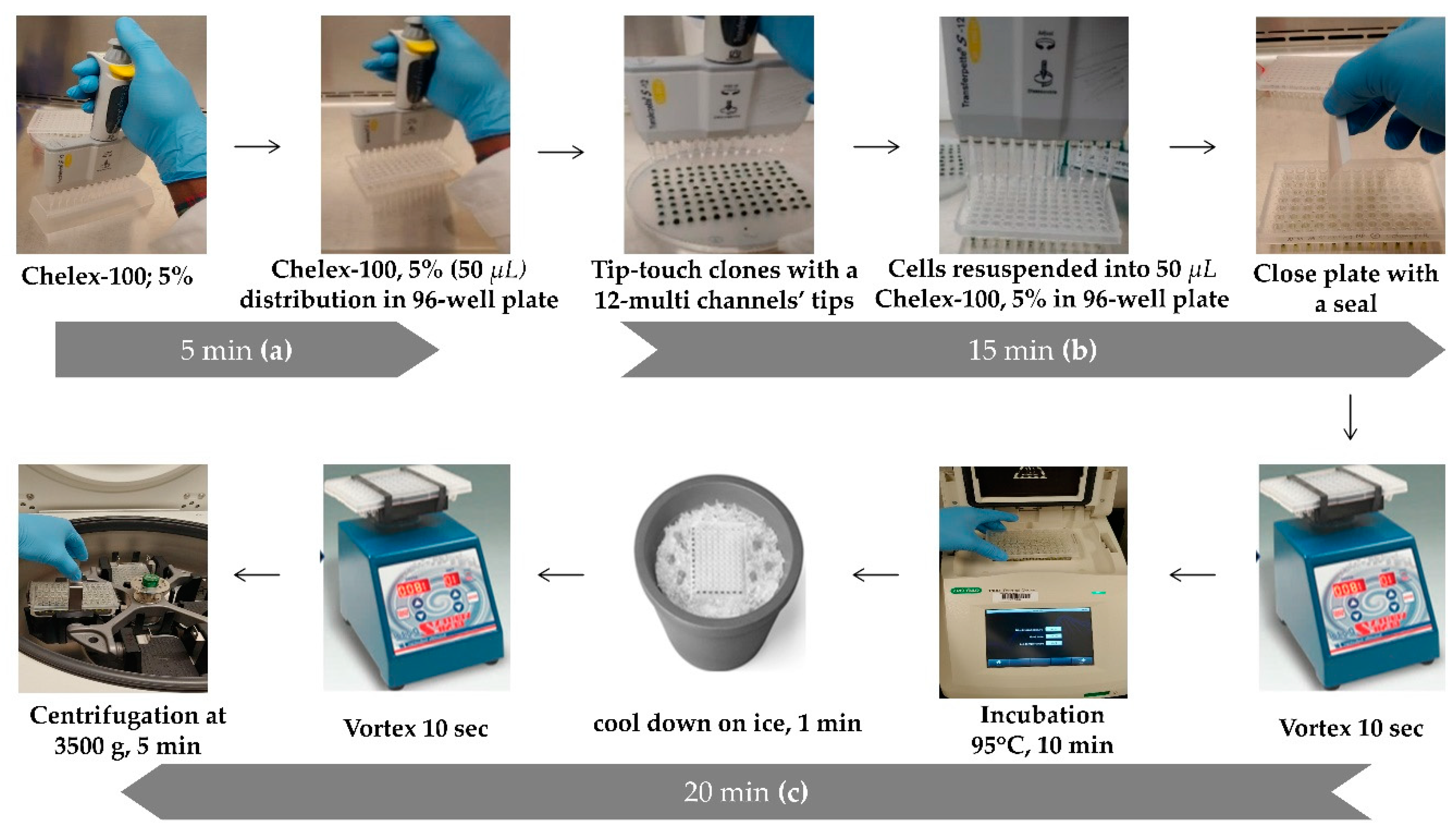 Life 10 00186 g002 Life 10 00186 g002