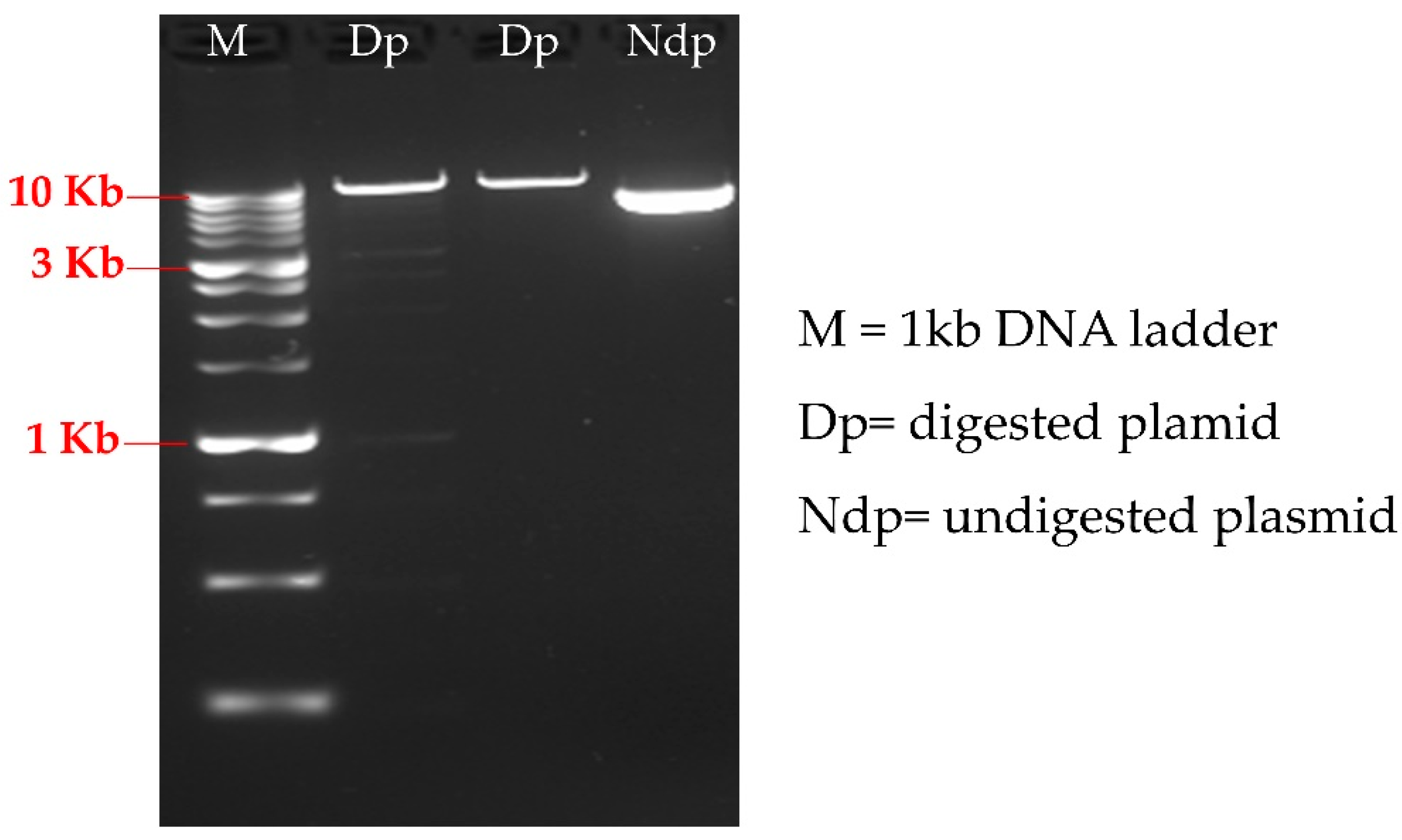 Life 10 00186 g0a2 Life 10 00186 g0a2