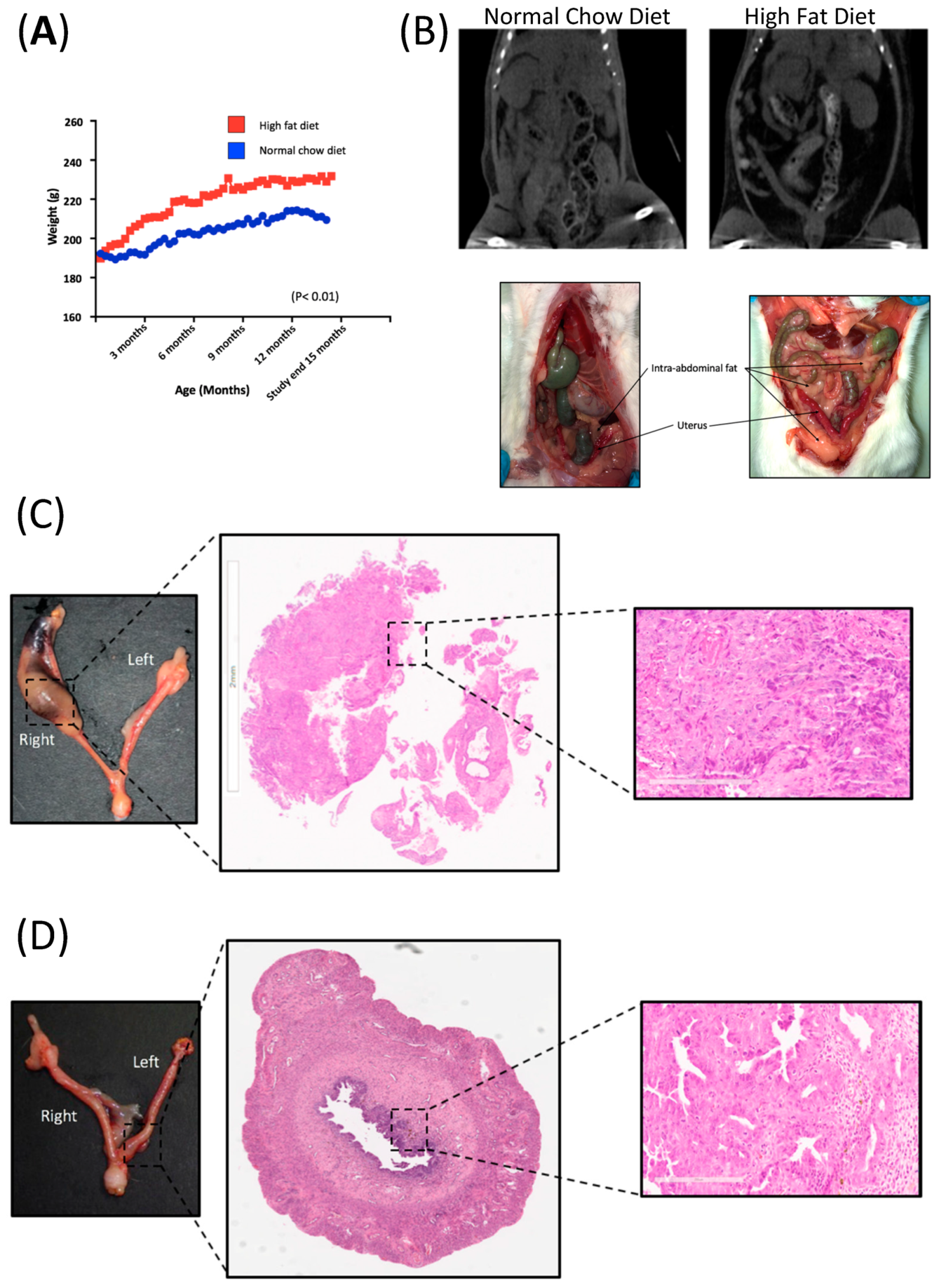 Life 10 00188 g001 Life 10 00188 g001