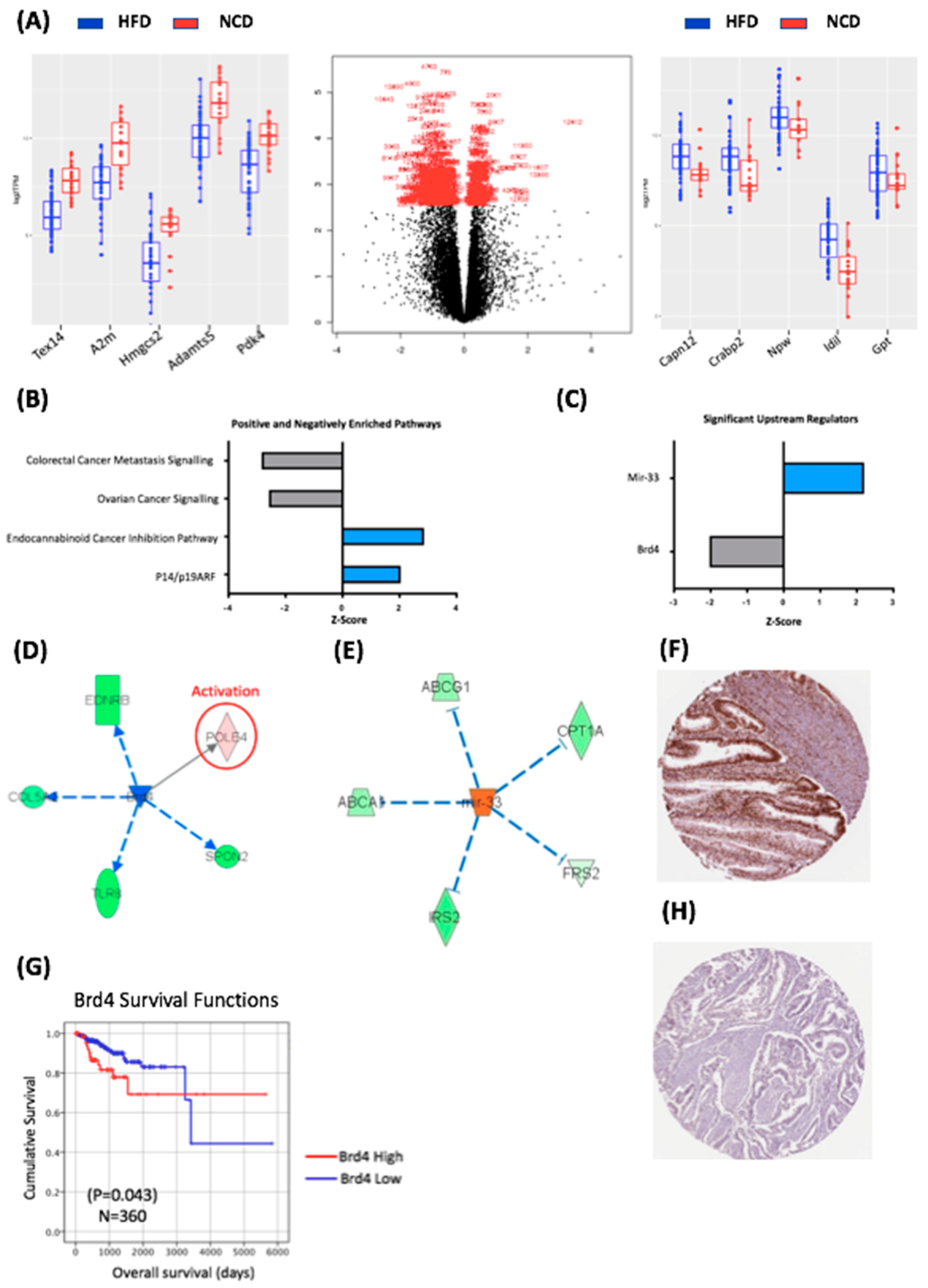 Life 10 00188 g002 Life 10 00188 g002