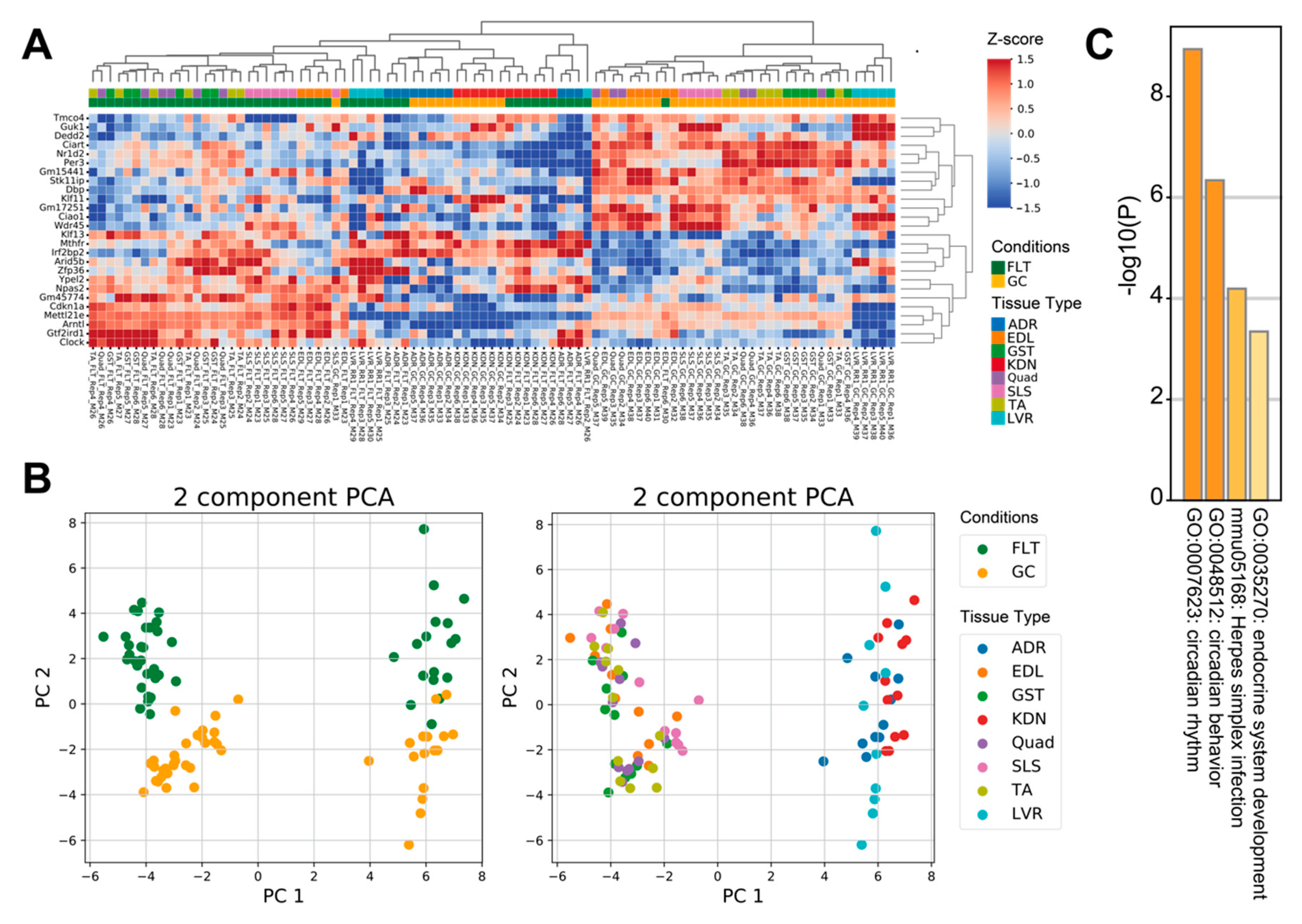 Life 10 00196 g001 Life 10 00196 g001