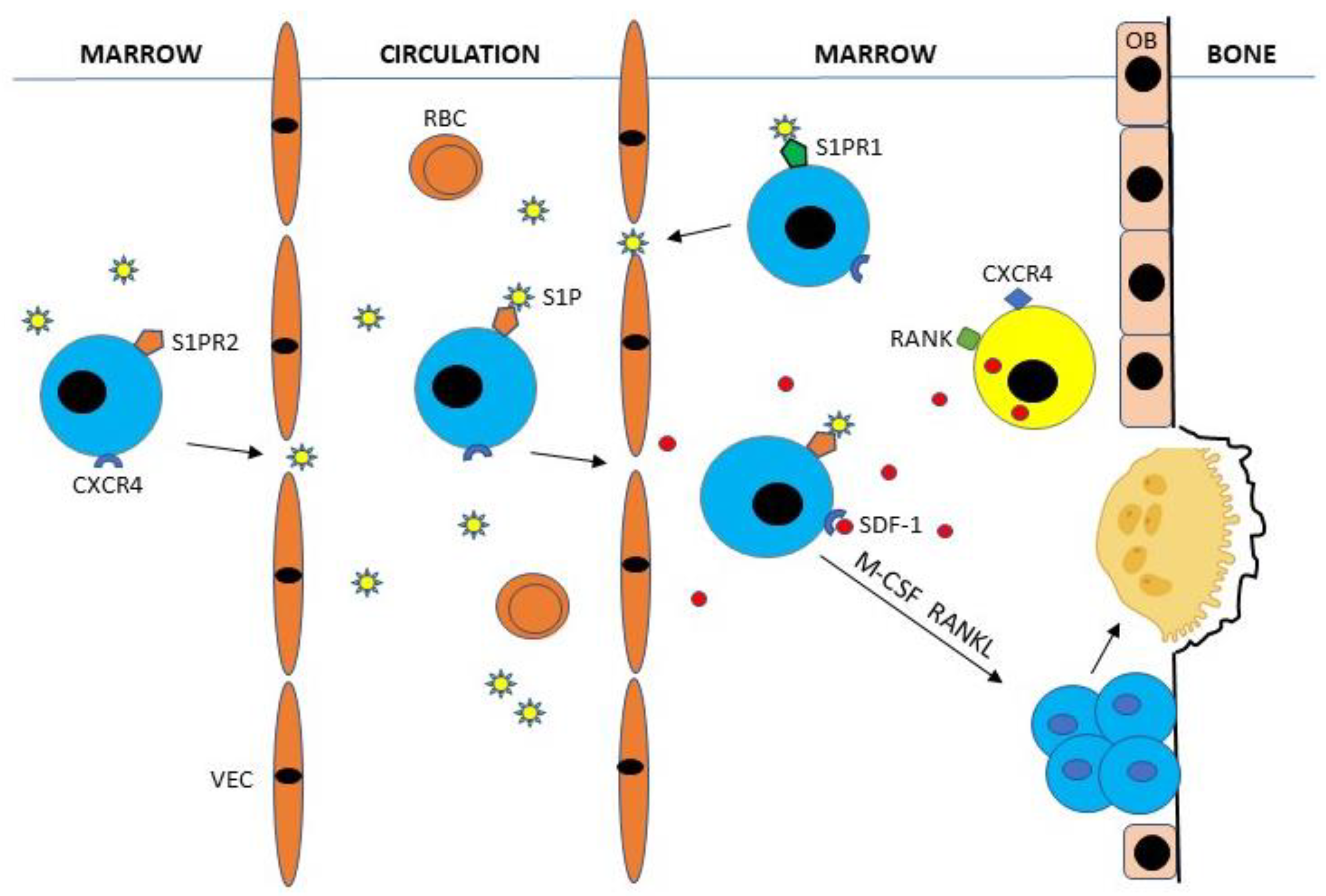 Life 10 00207 g002 Life 10 00207 g002