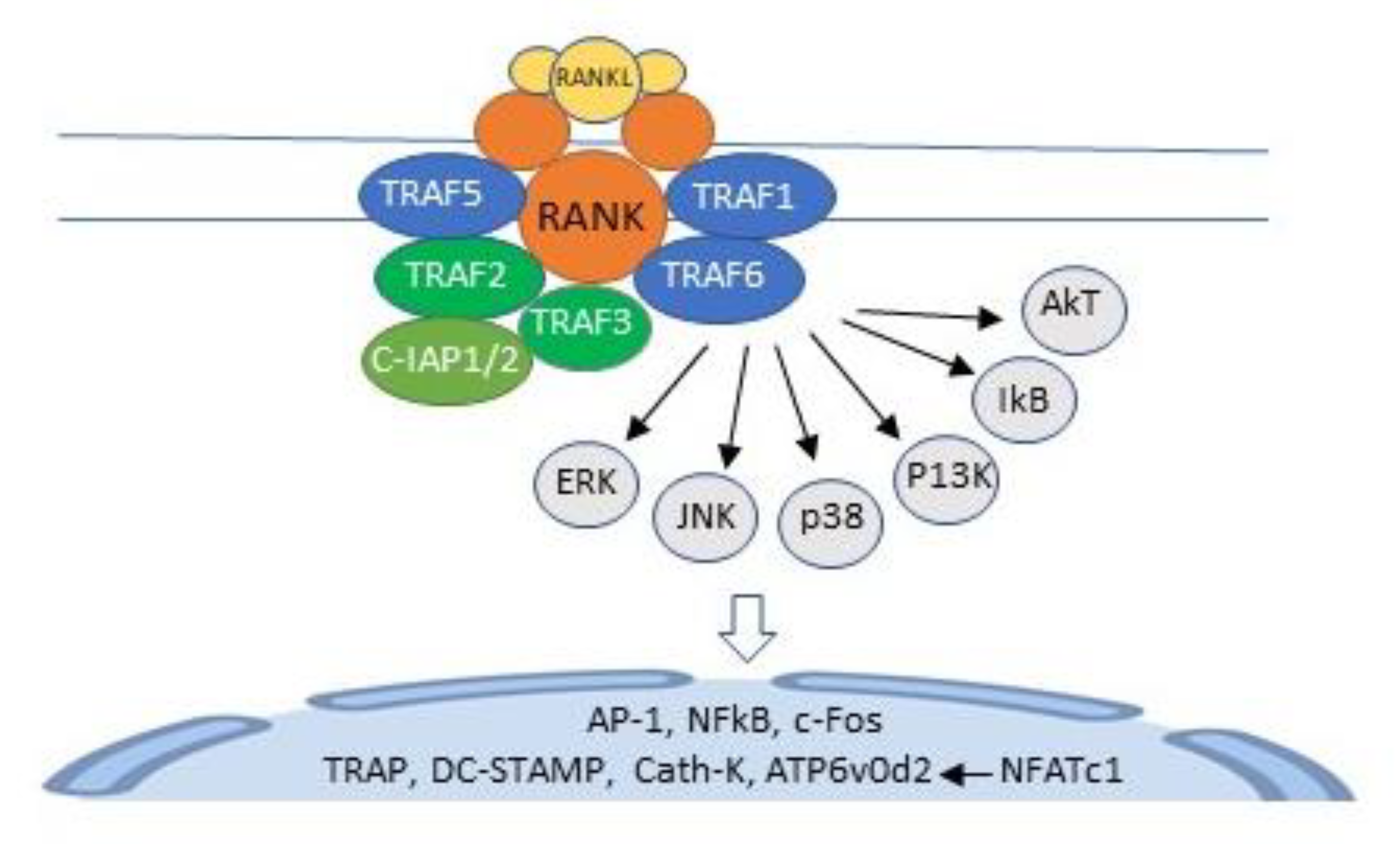 Life 10 00207 g003 Life 10 00207 g003