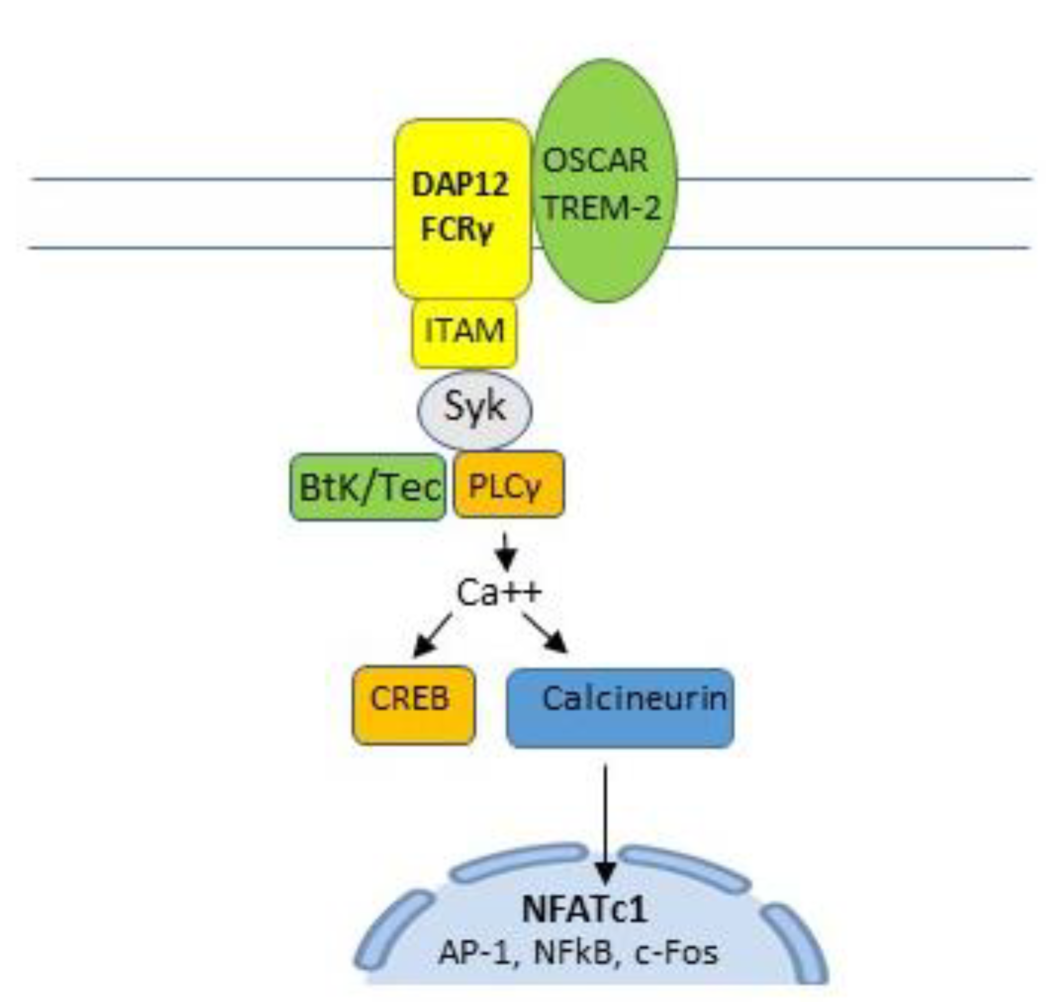 Life 10 00207 g004 Life 10 00207 g004