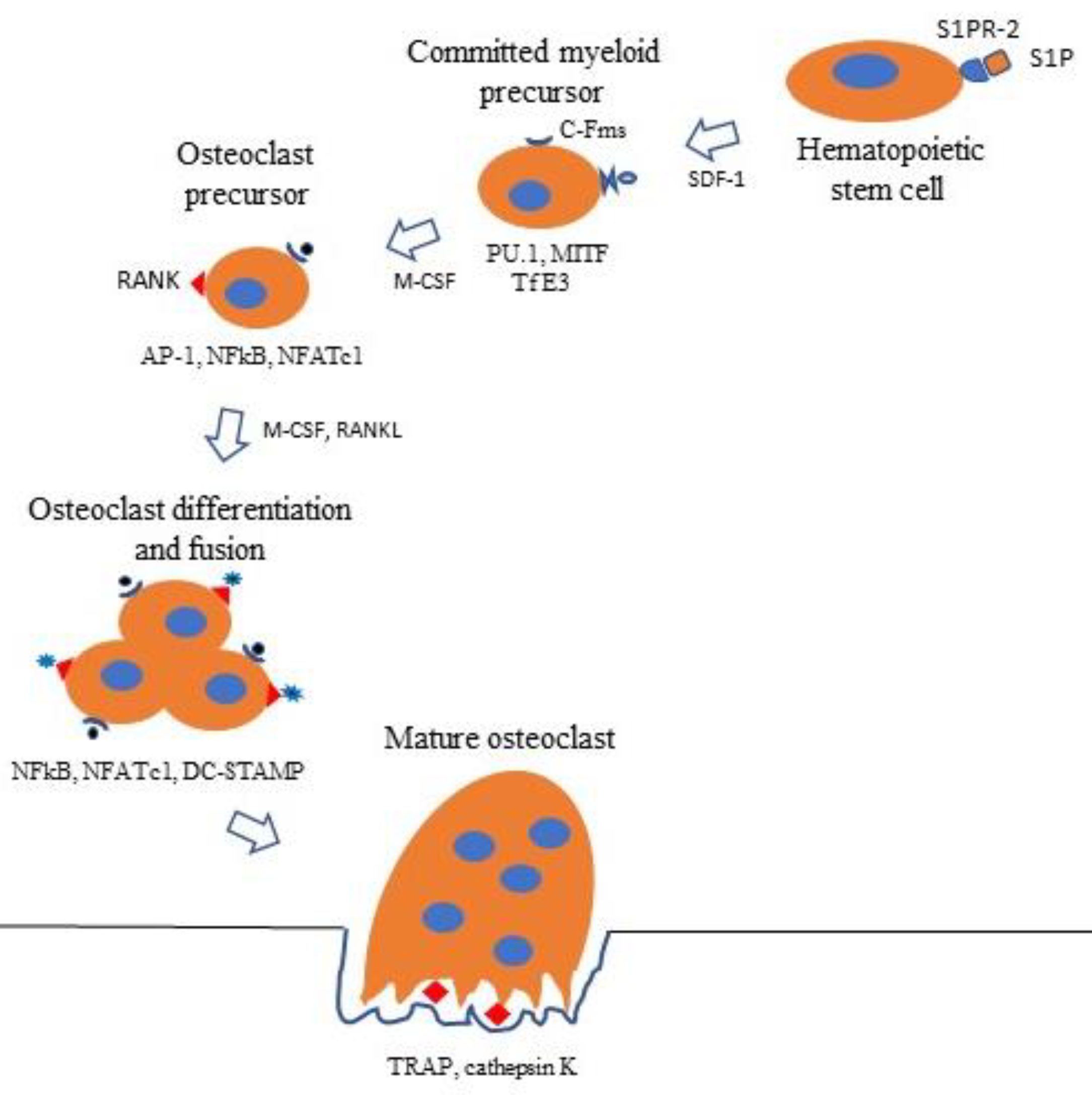 Life 10 00207 g005 Life 10 00207 g005