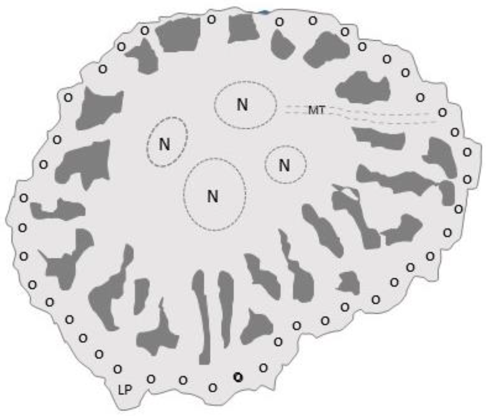 Life 10 00207 g006 Life 10 00207 g006