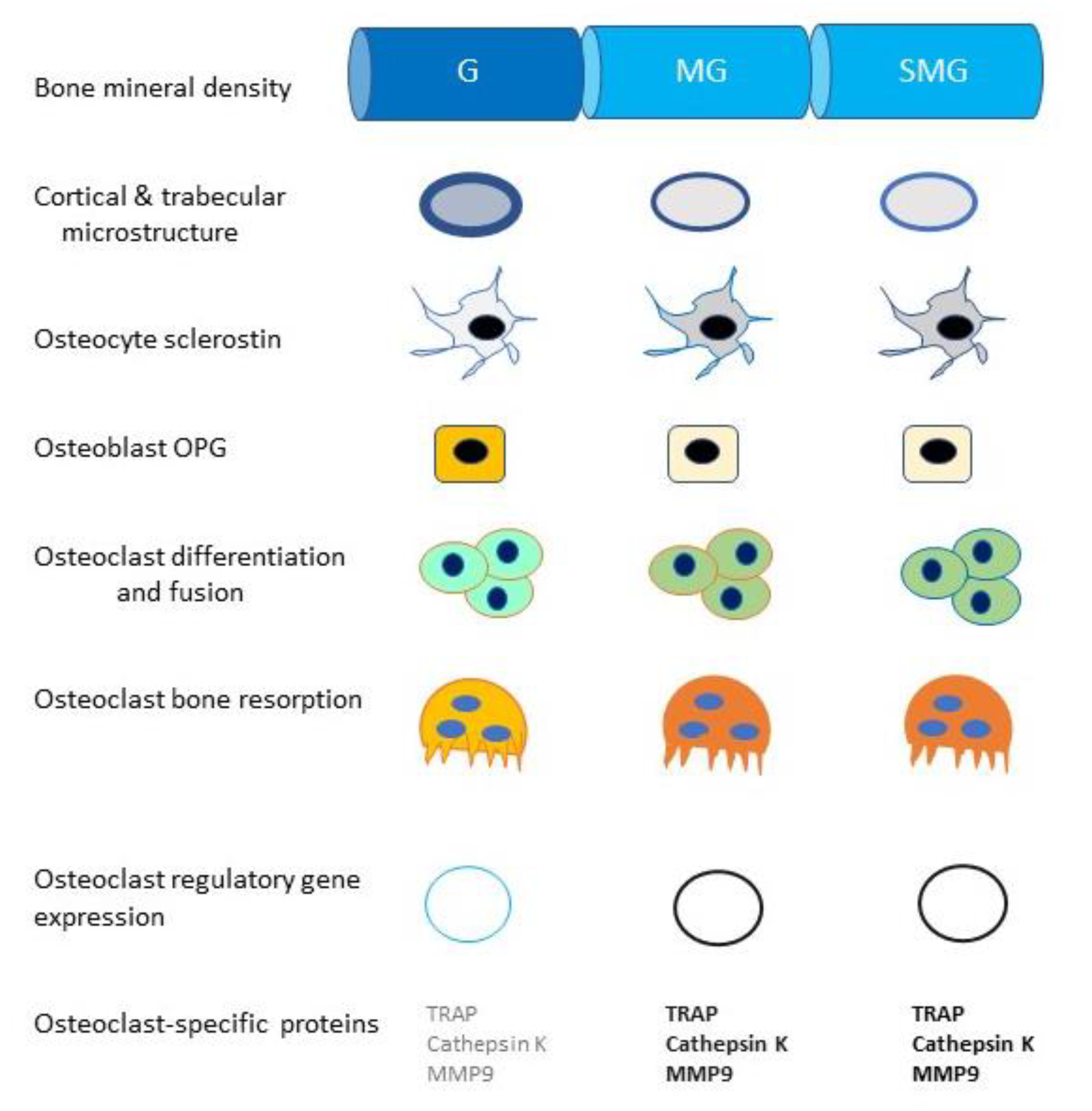 Life 10 00207 g007 Life 10 00207 g007