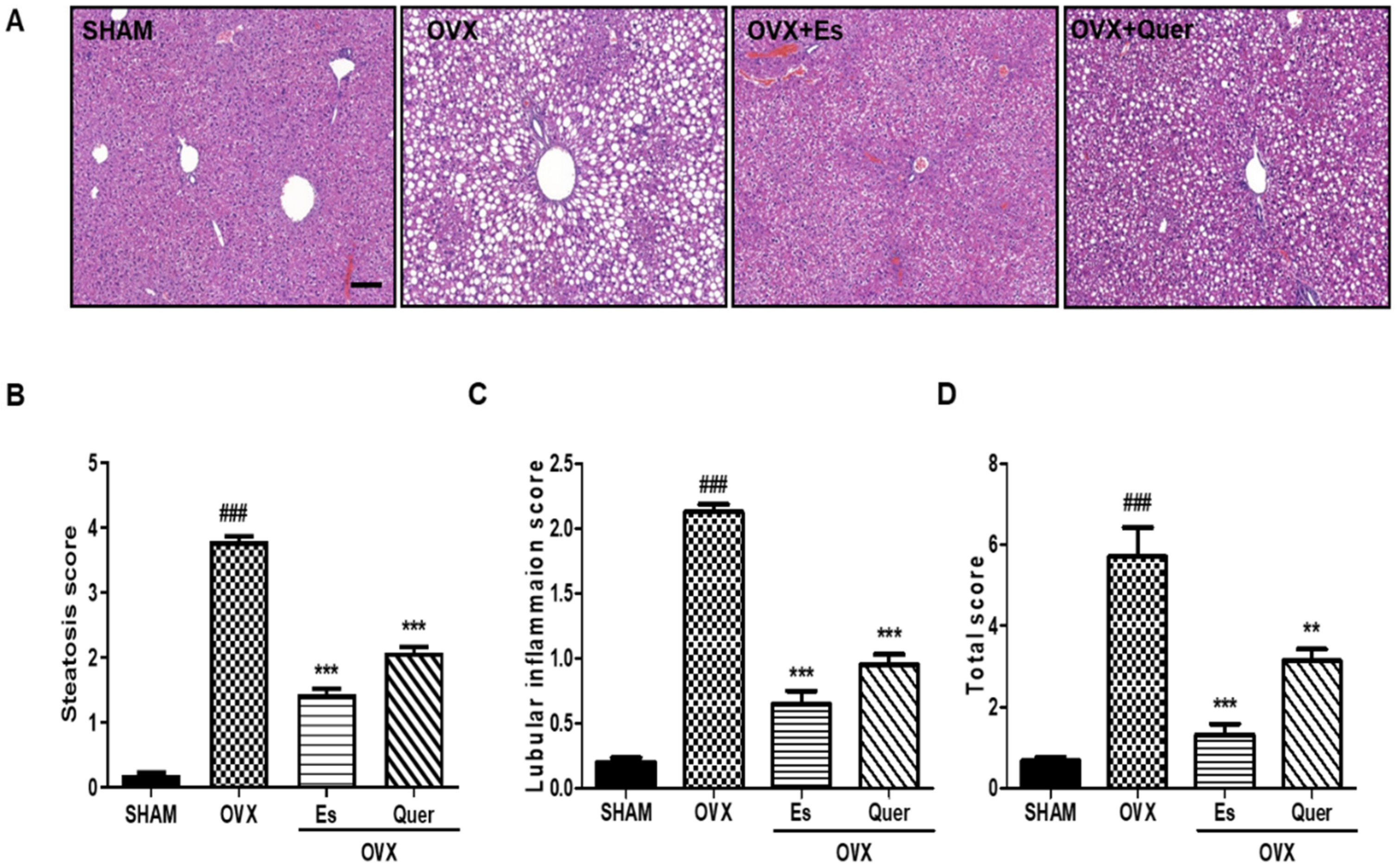Life 10 00243 g002 Life 10 00243 g002
