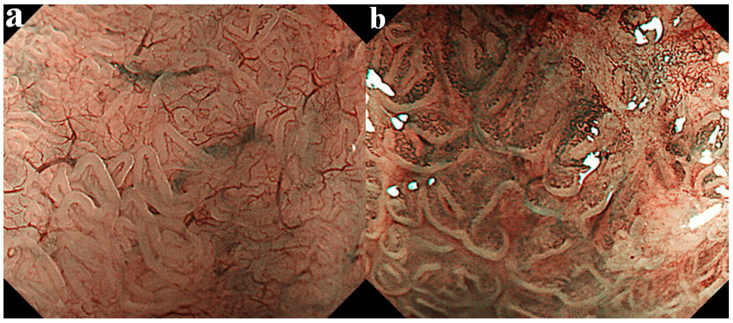 Life 10 00244 g003 Life 10 00244 g003