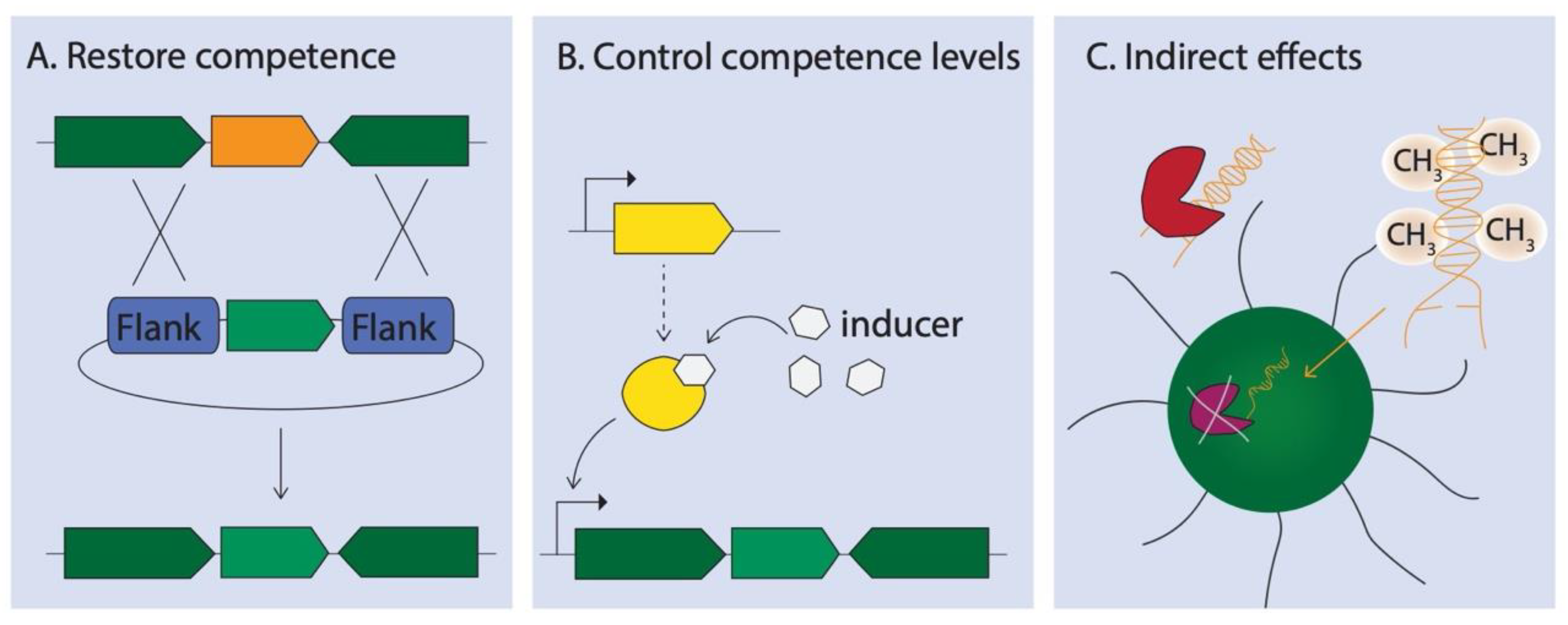 Life 10 00249 g003 Life 10 00249 g003