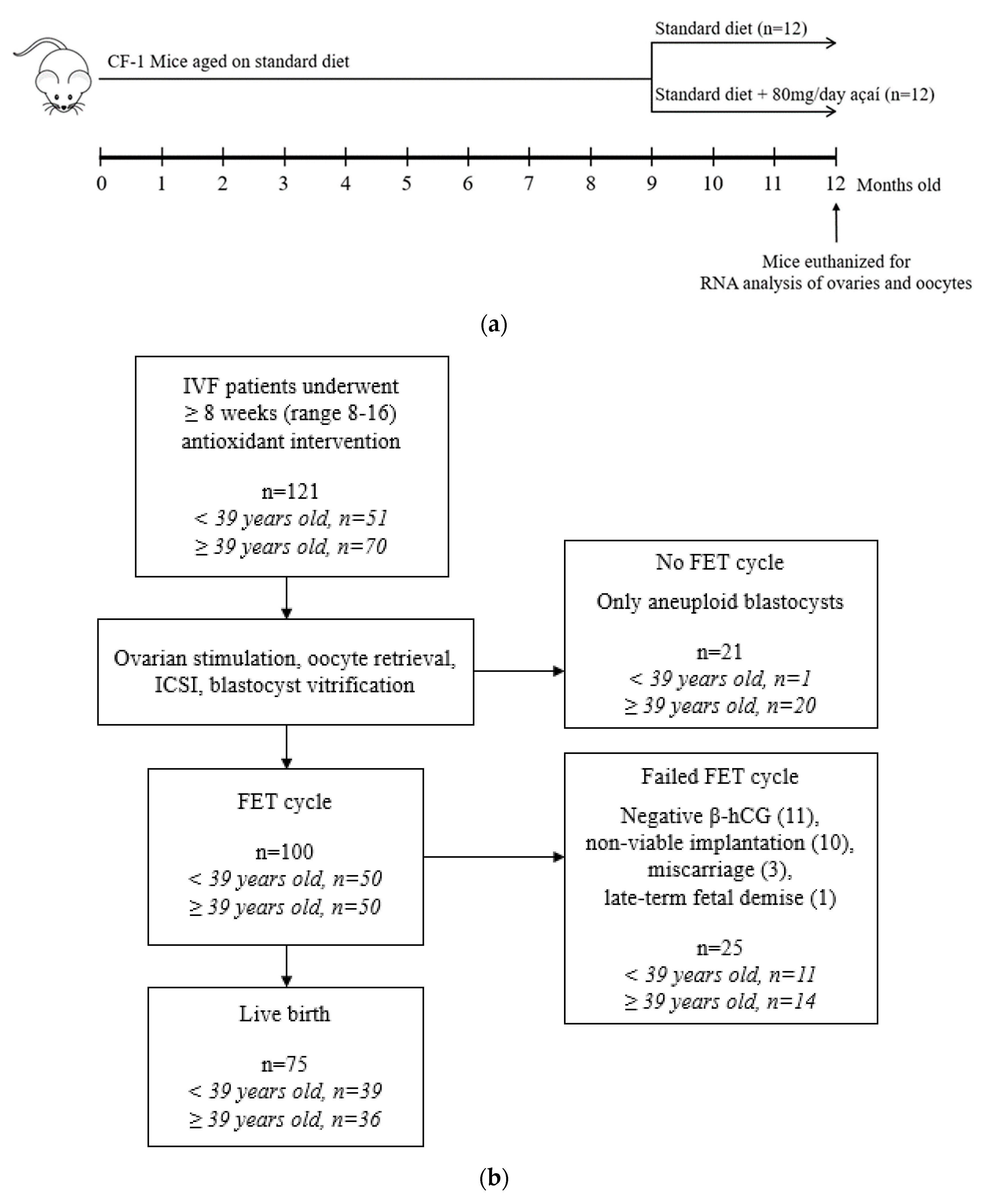 Life 10 00250 g001 Life 10 00250 g001