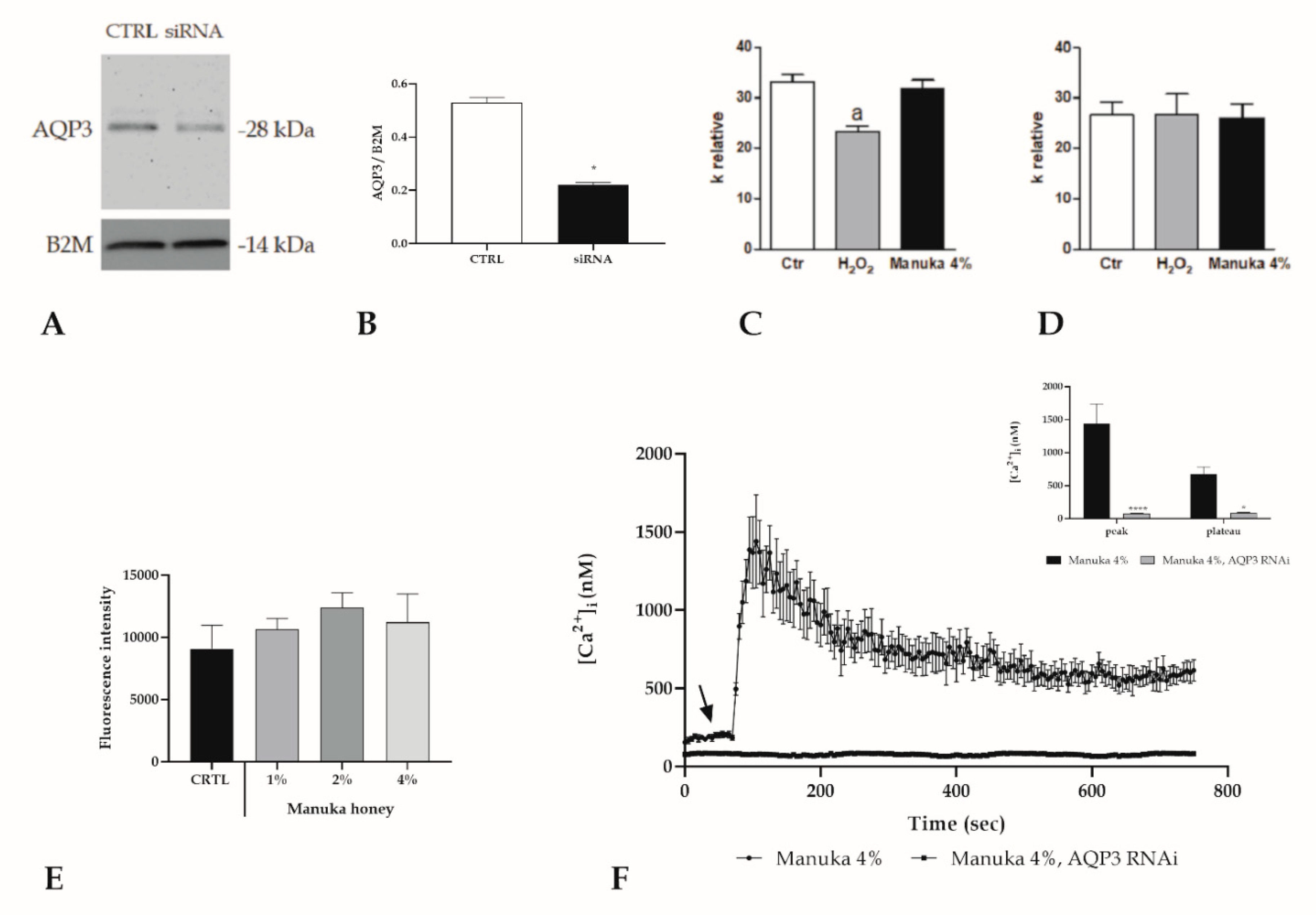 Life 10 00256 g008 Life 10 00256 g008