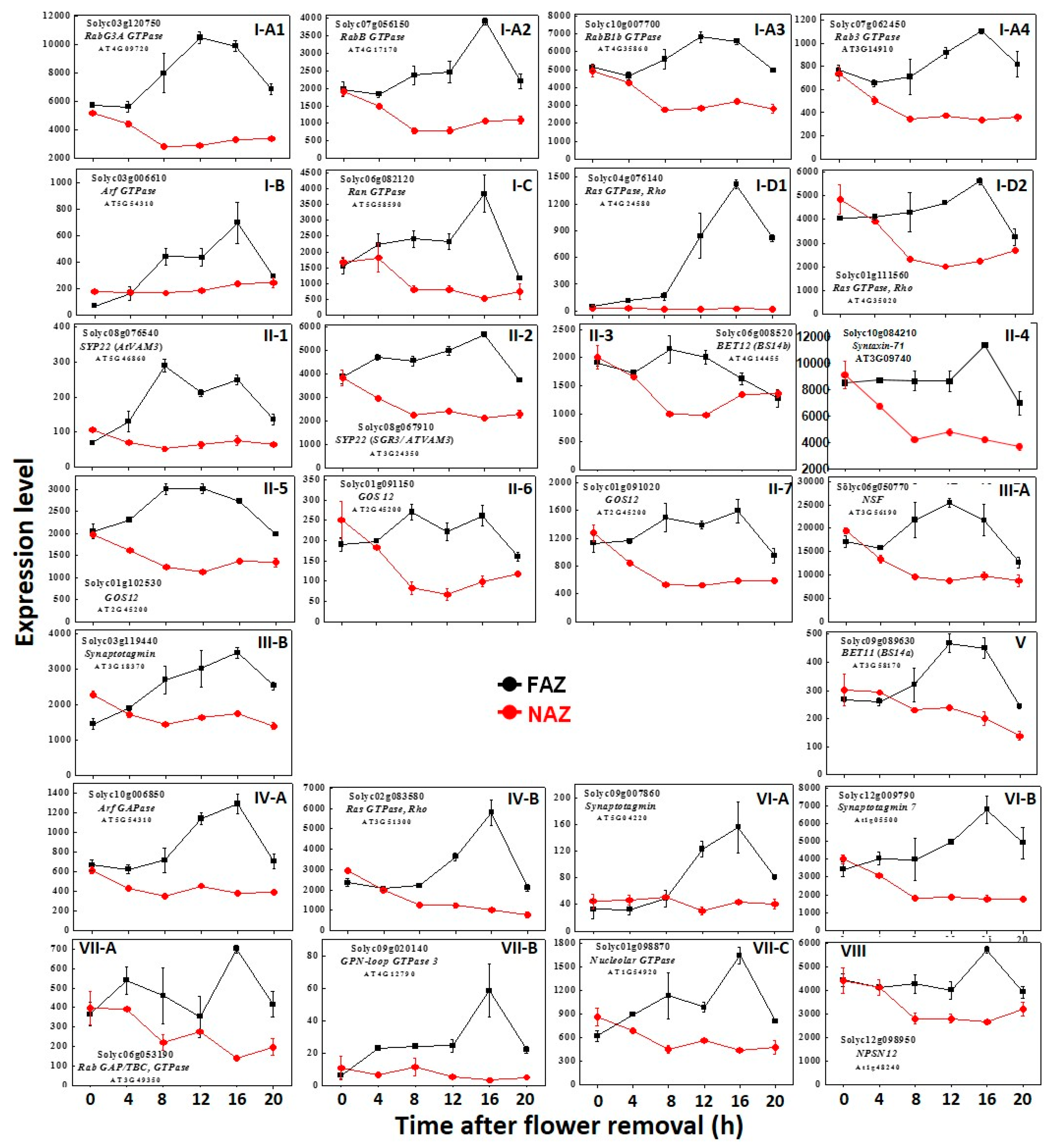 Life Free Full Text Expression Kinetics Of Regulatory Genes Involved In The Vesicle Trafficking Processes Operating In Tomato Flower Abscission Zone Cells During Pedicel Abscission Html