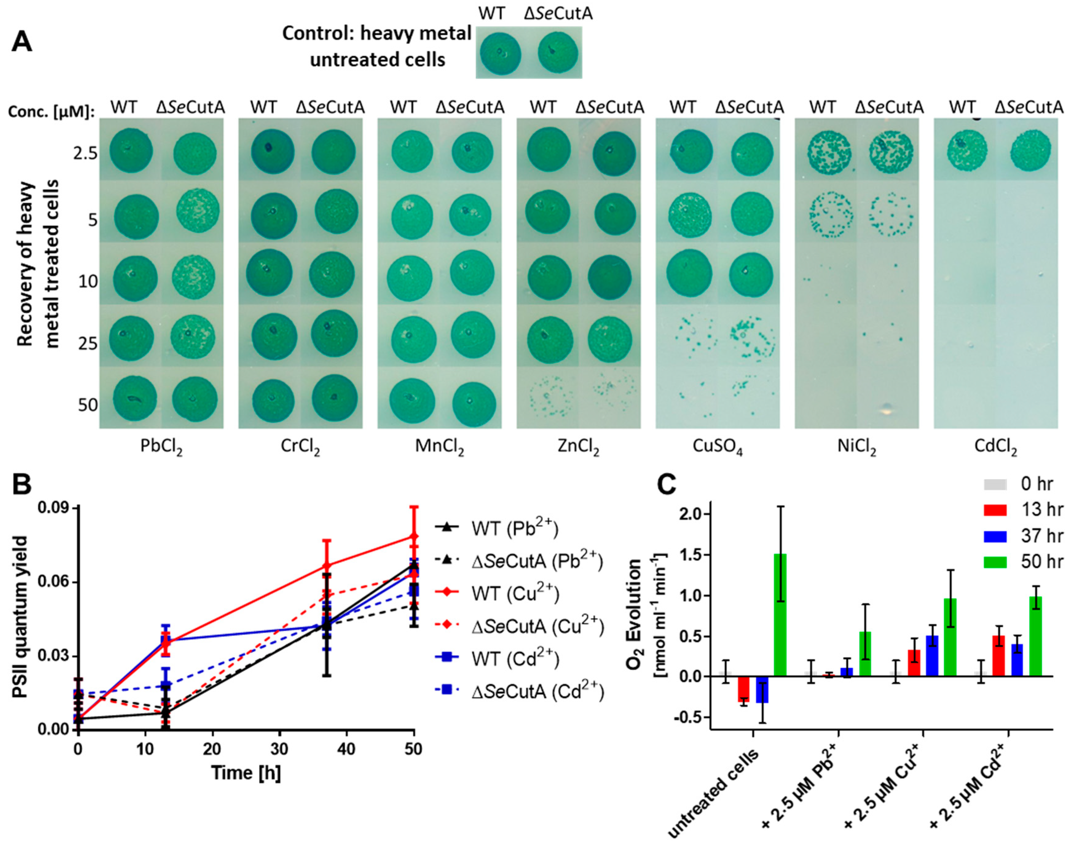 Life 10 00275 g001 Life 10 00275 g001
