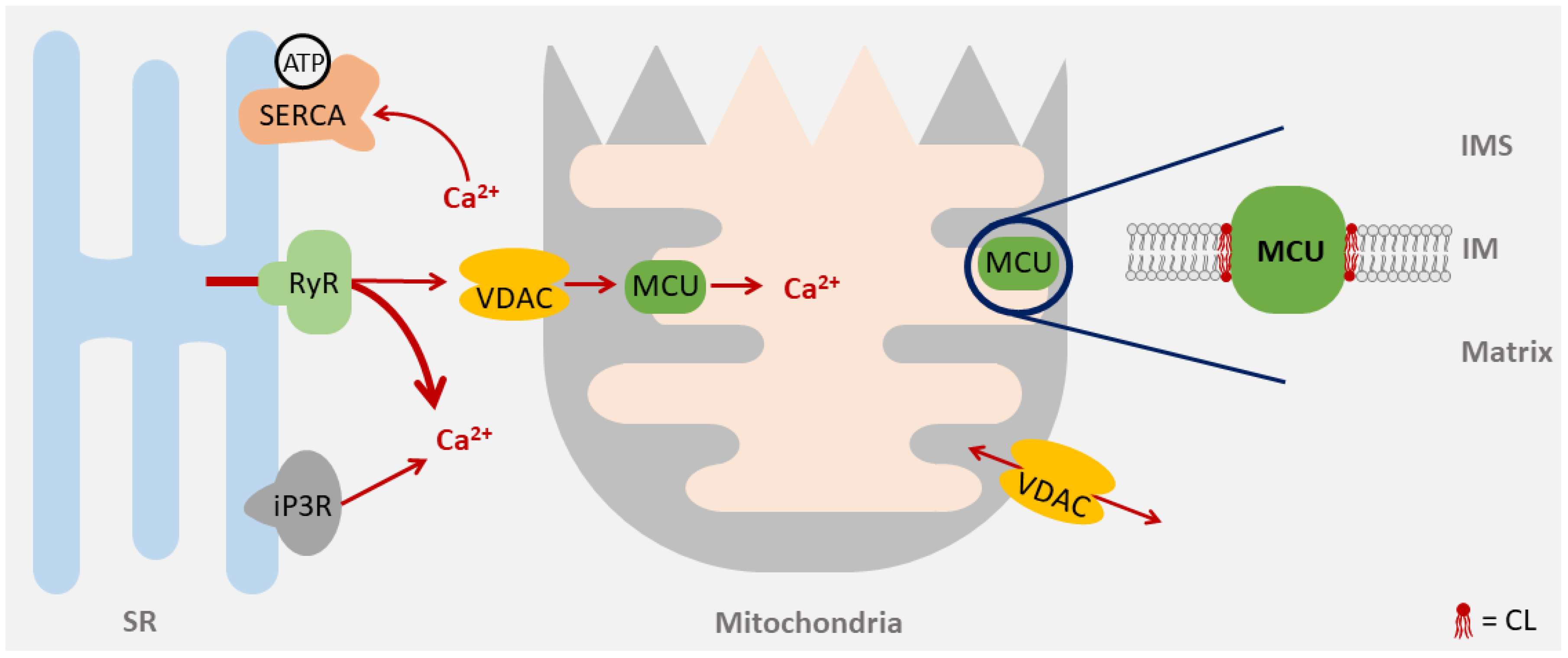 Life 10 00277 g004 Life 10 00277 g004