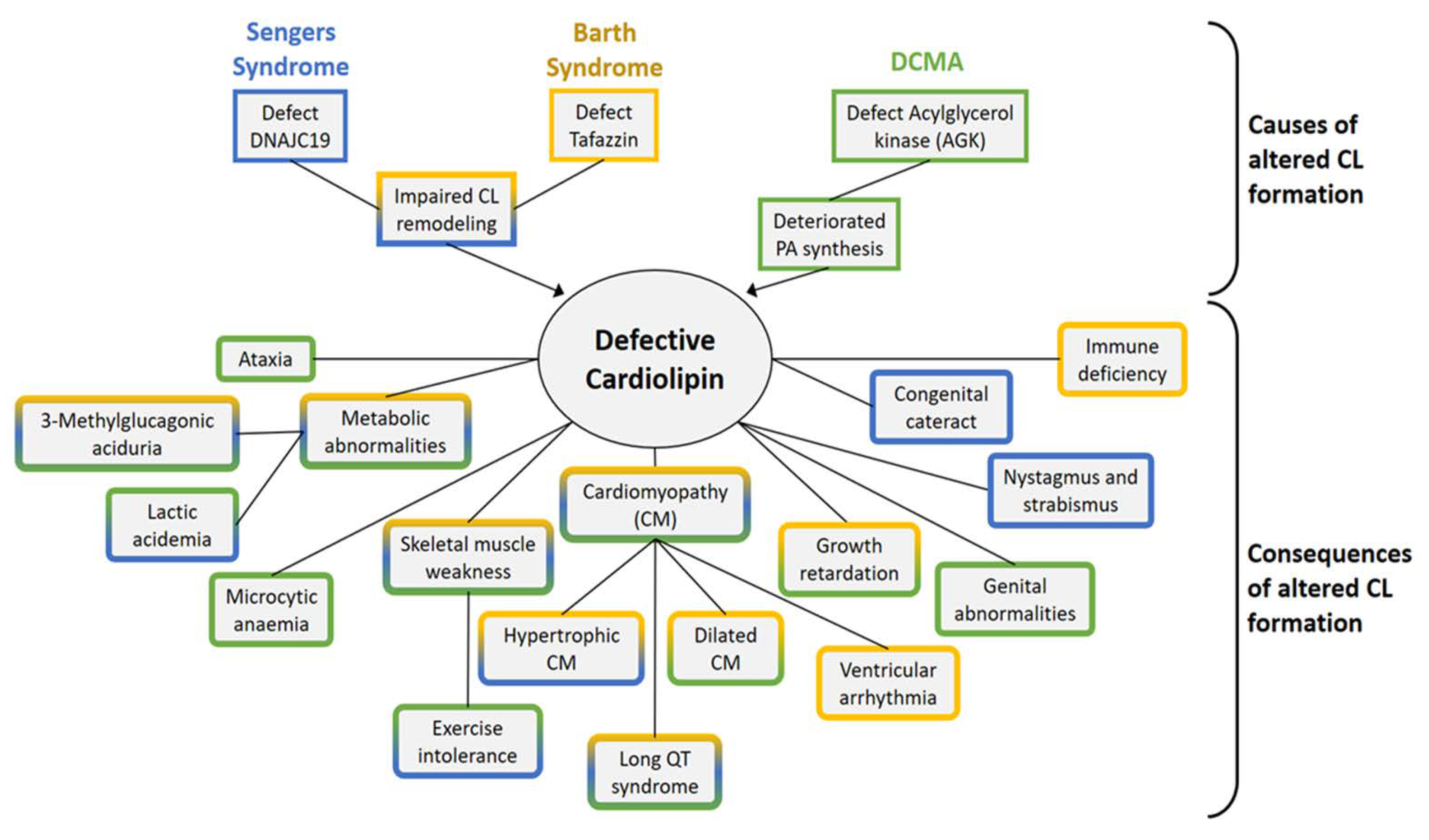 Life 10 00277 g005 Life 10 00277 g005