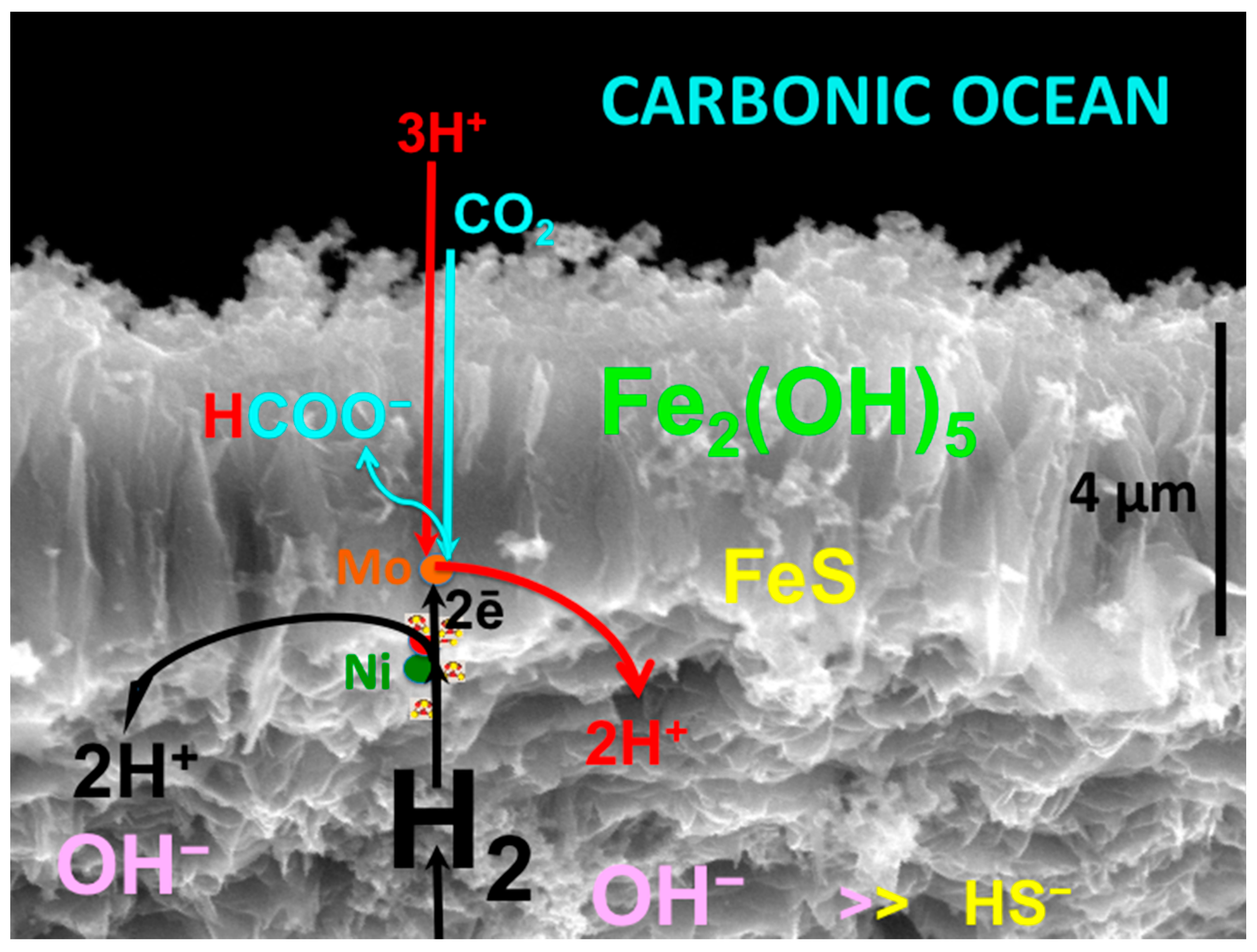 Life 10 00291 g005 Life 10 00291 g005