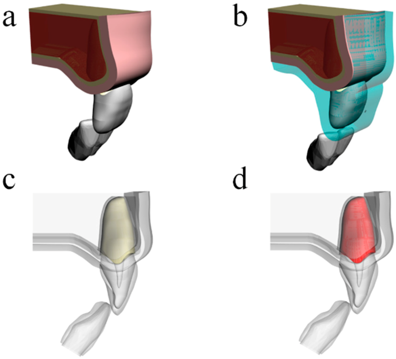 Life 10 00294 g001 Life 10 00294 g001
