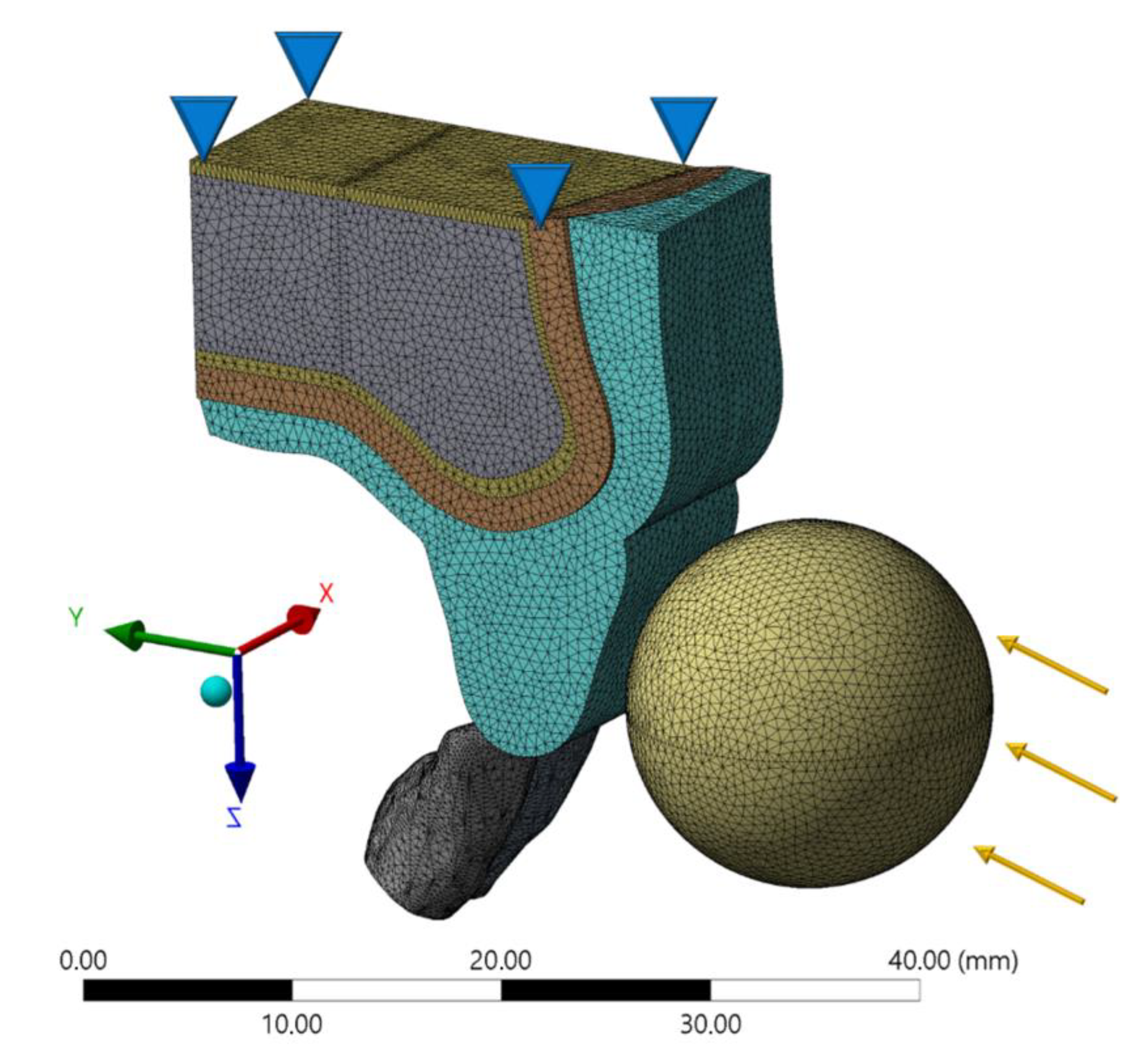 Life 10 00294 g002 Life 10 00294 g002