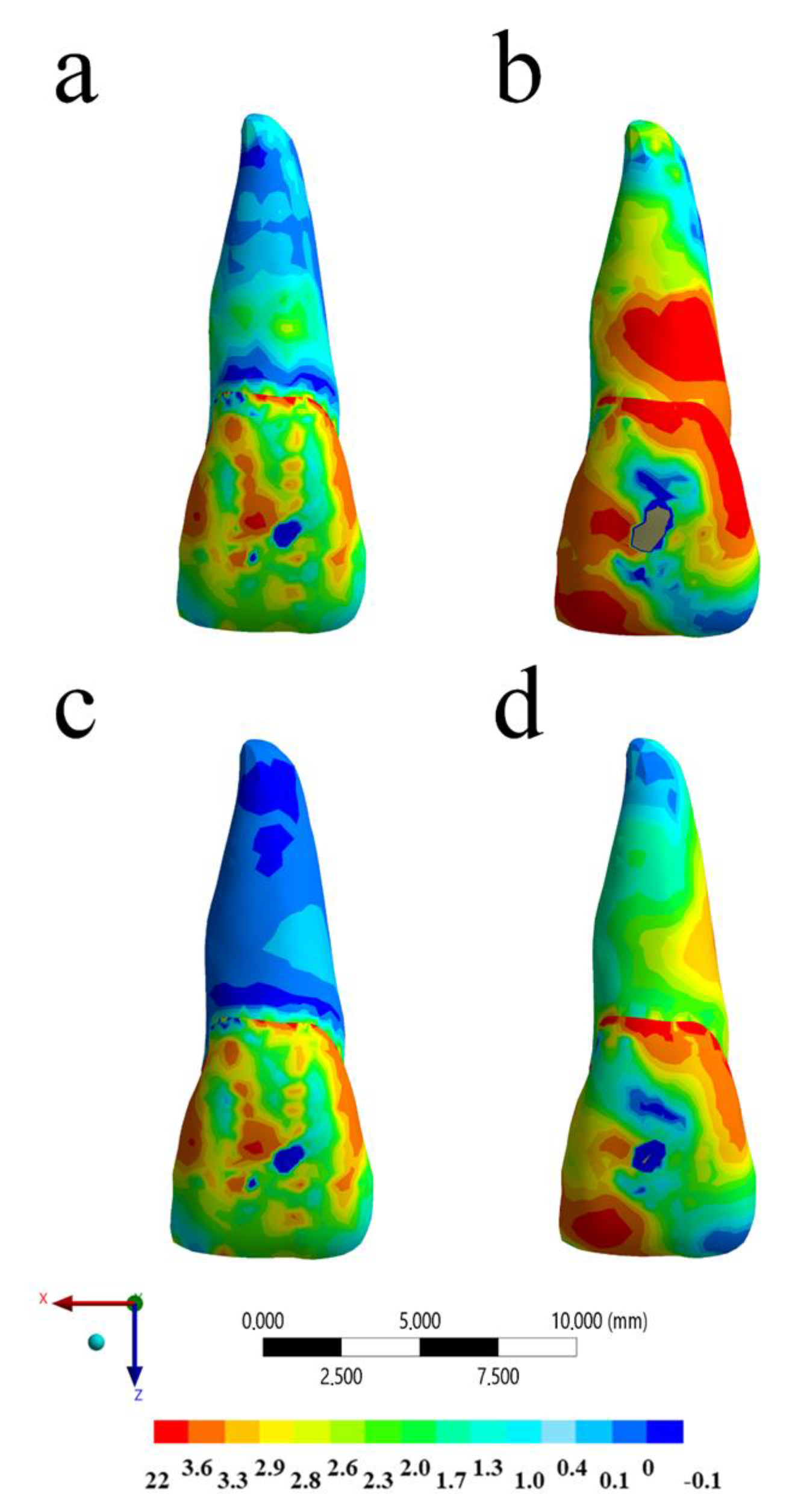 Life 10 00294 g006 Life 10 00294 g006