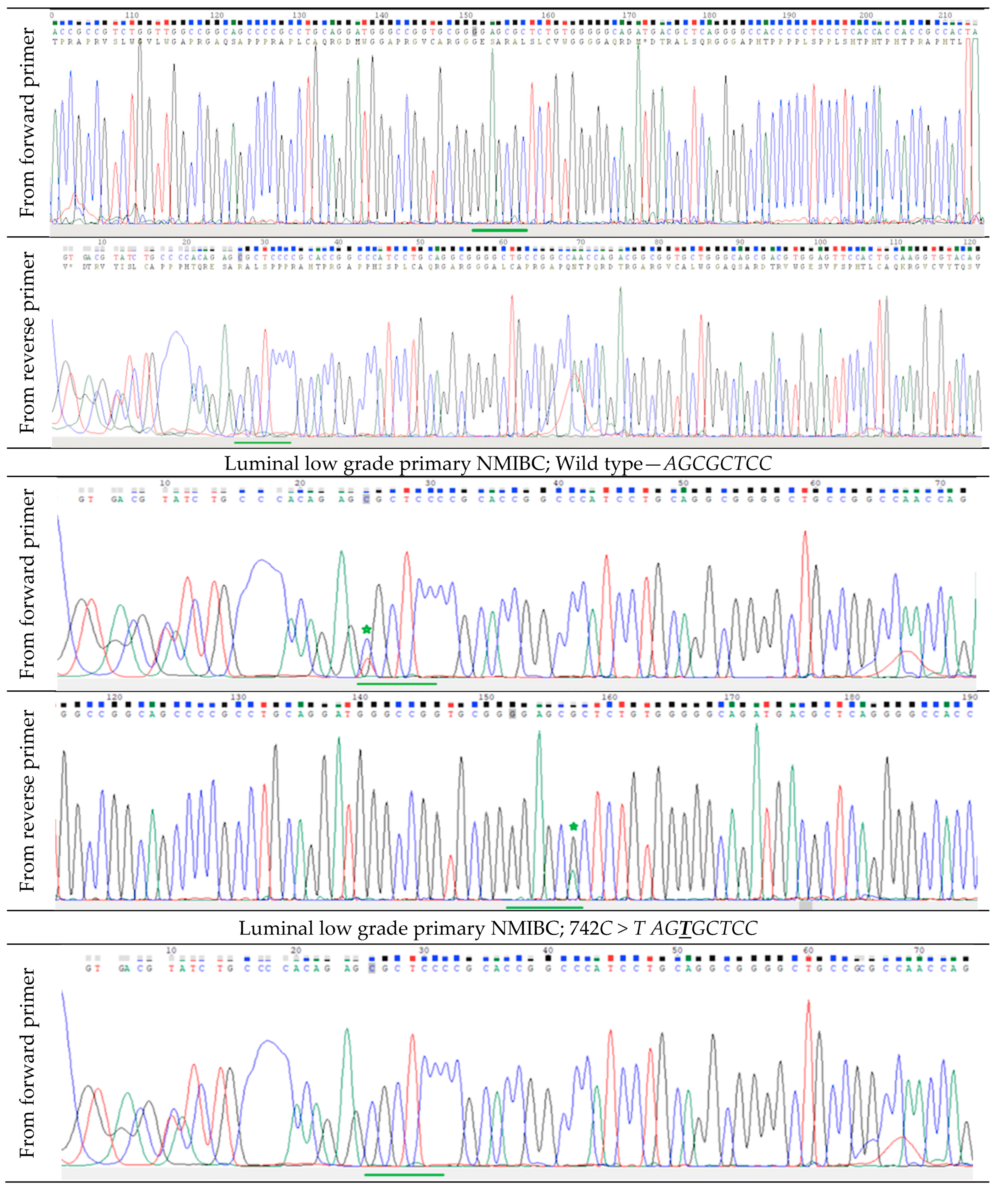 Life 10 00305 g0a1a Life 10 00305 g0a1a