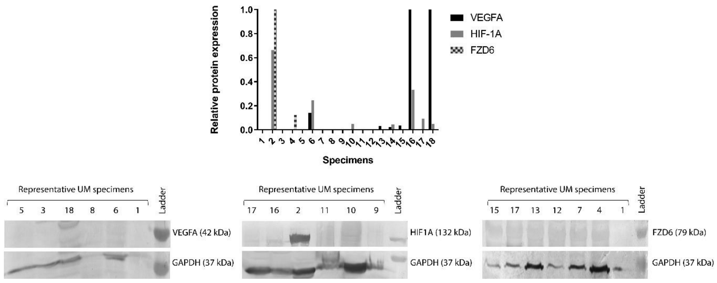 Life 10 00310 g002 Life 10 00310 g002