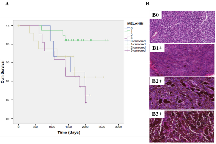 Life 10 00310 g006 Life 10 00310 g006