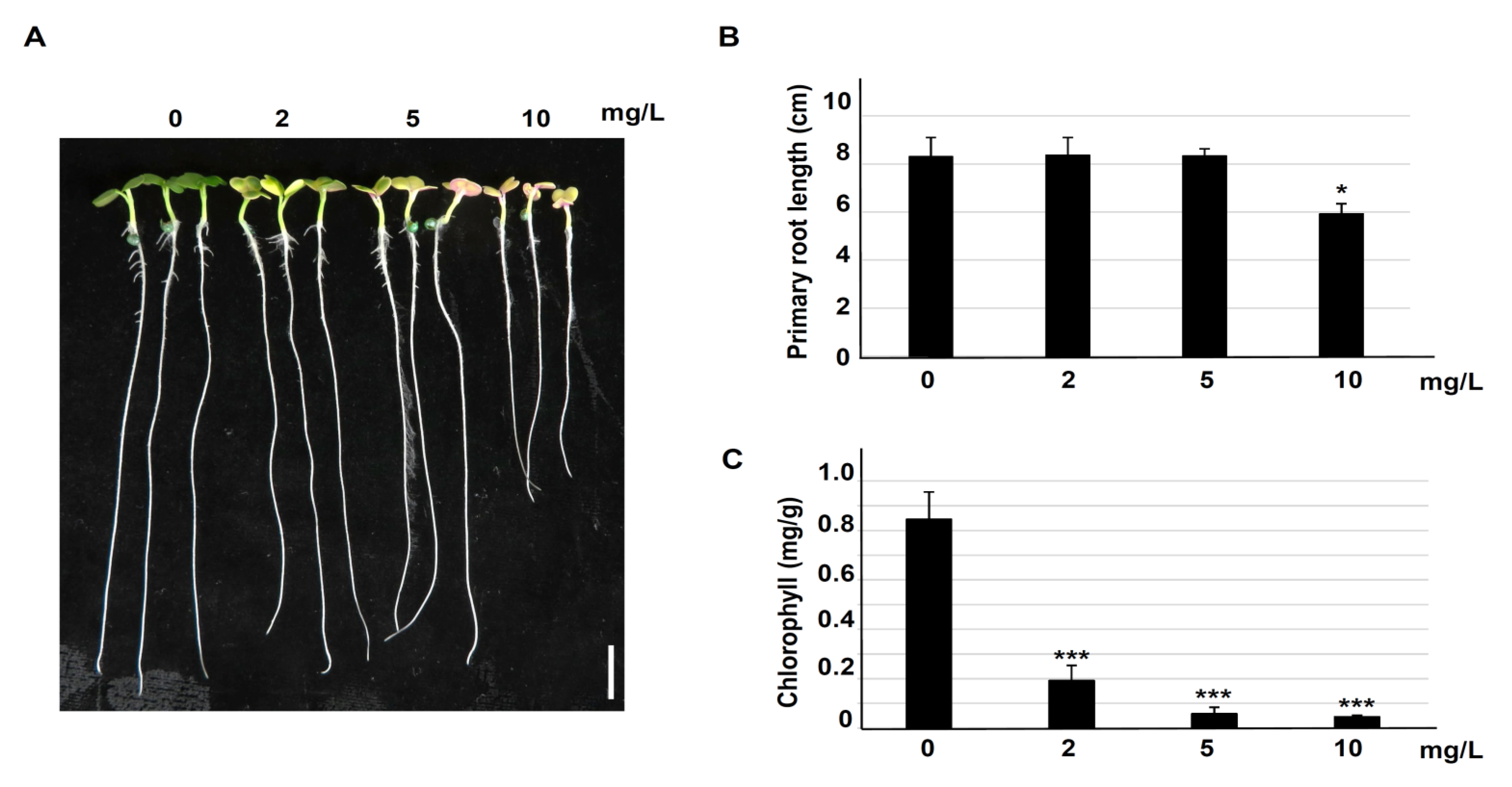 Life 10 00311 g001 Life 10 00311 g001