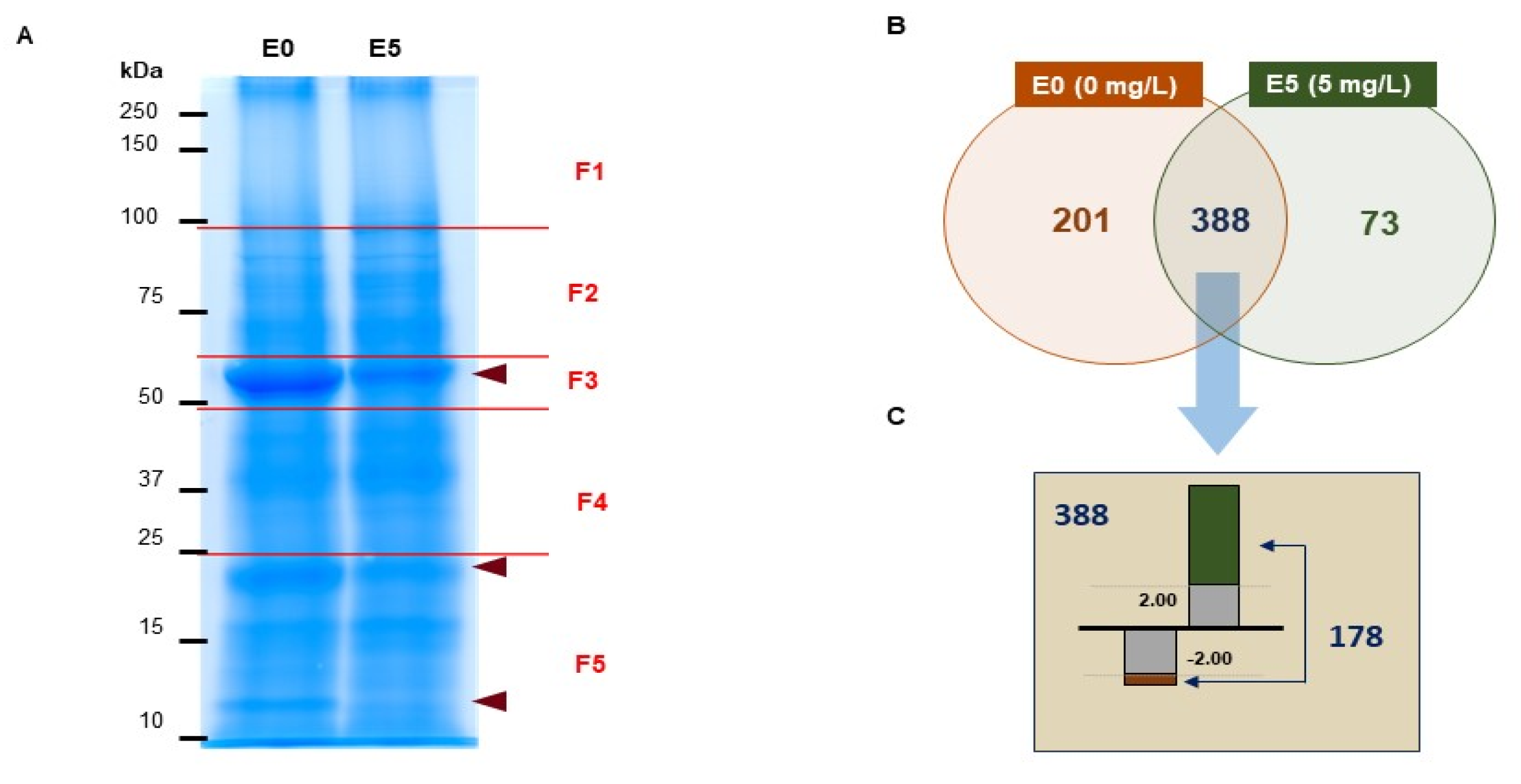 Life 10 00311 g002 Life 10 00311 g002