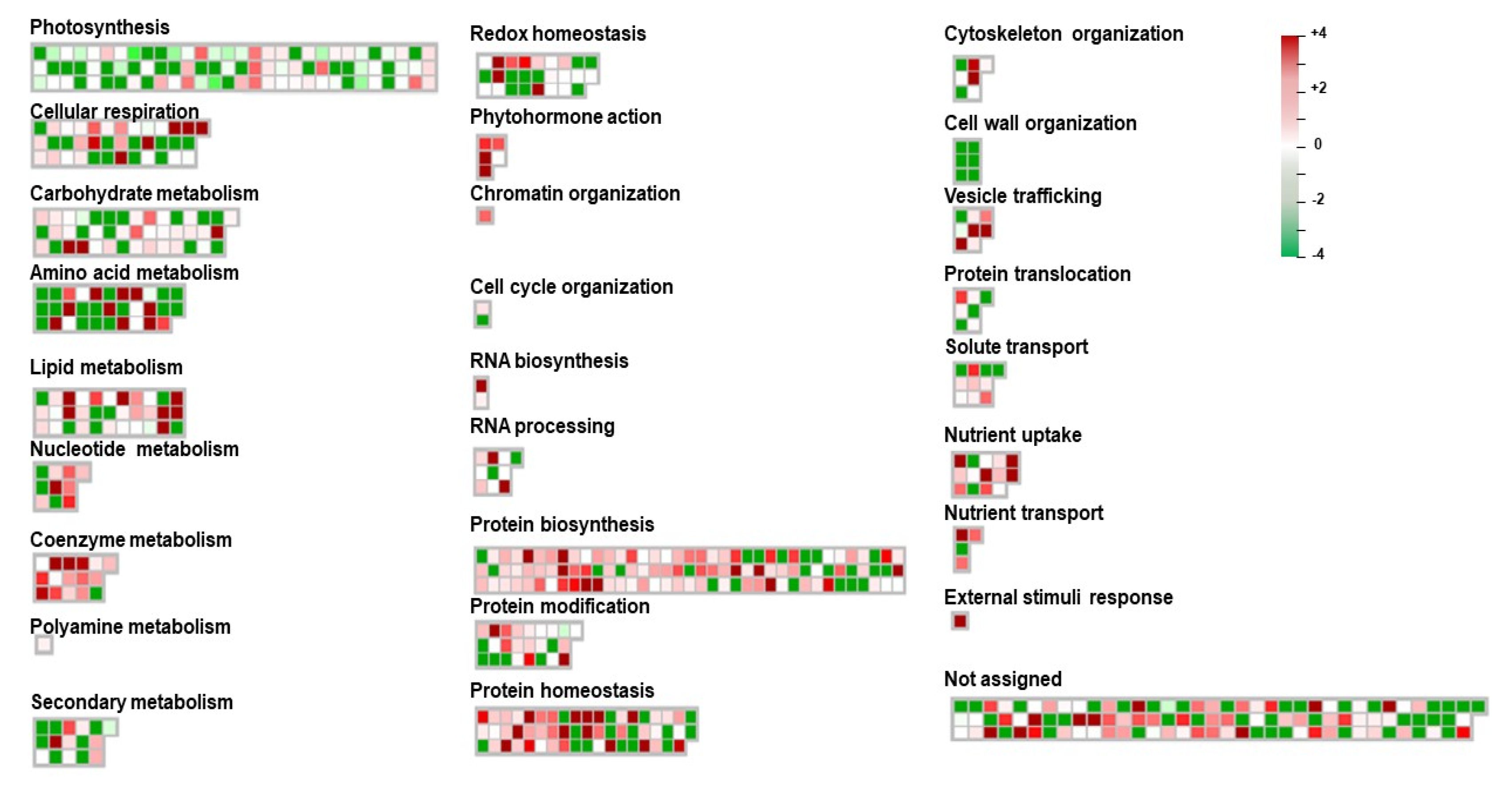 Life 10 00311 g004 Life 10 00311 g004
