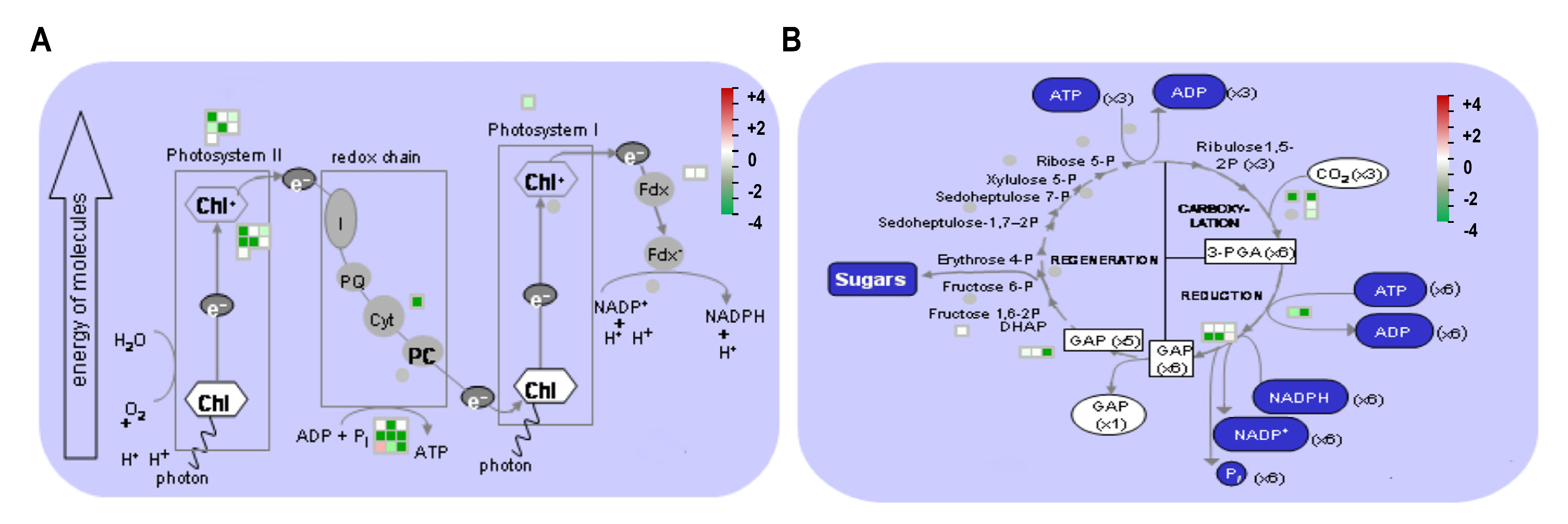 Life 10 00311 g005 Life 10 00311 g005