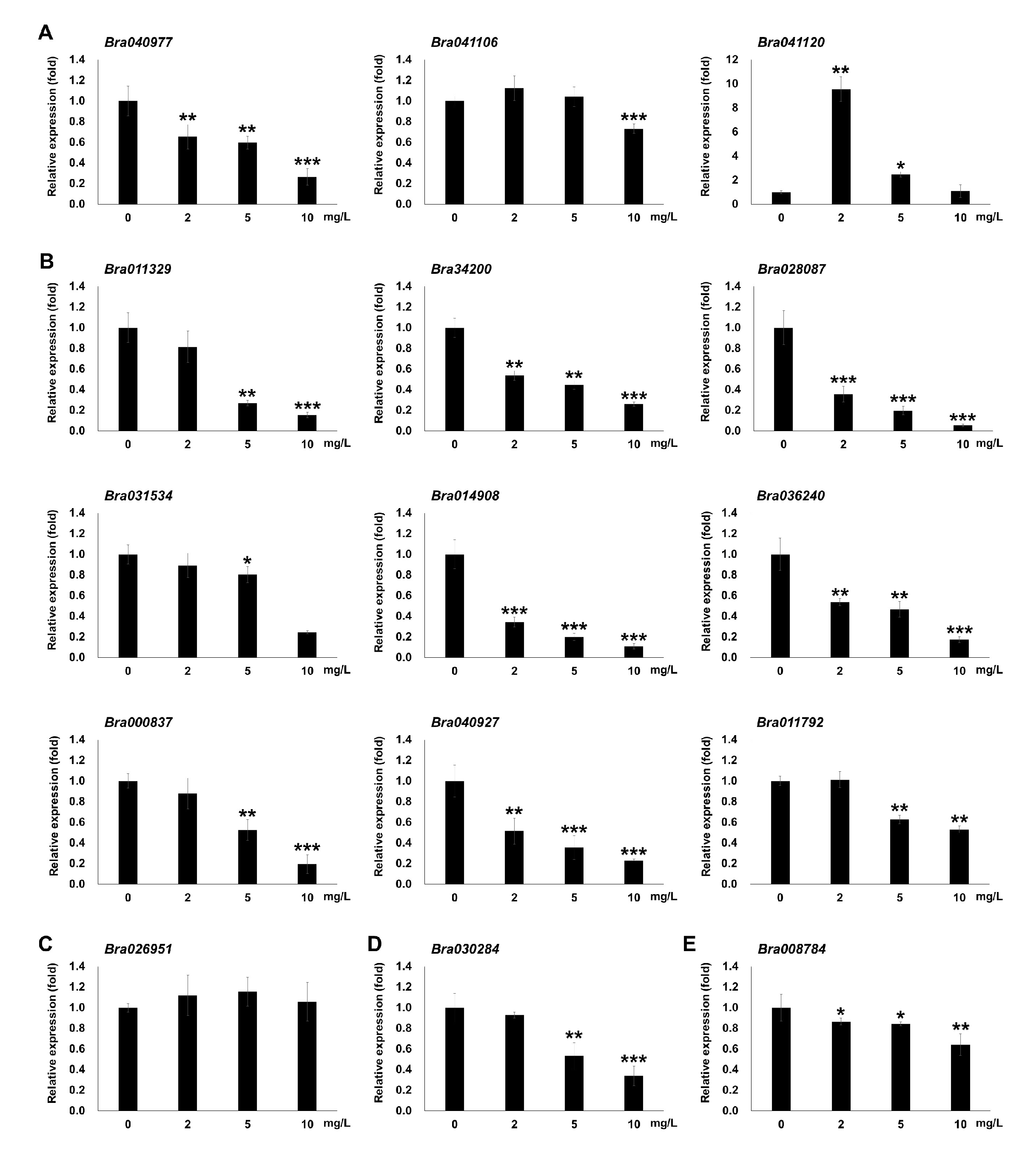 Life 10 00311 g006 Life 10 00311 g006