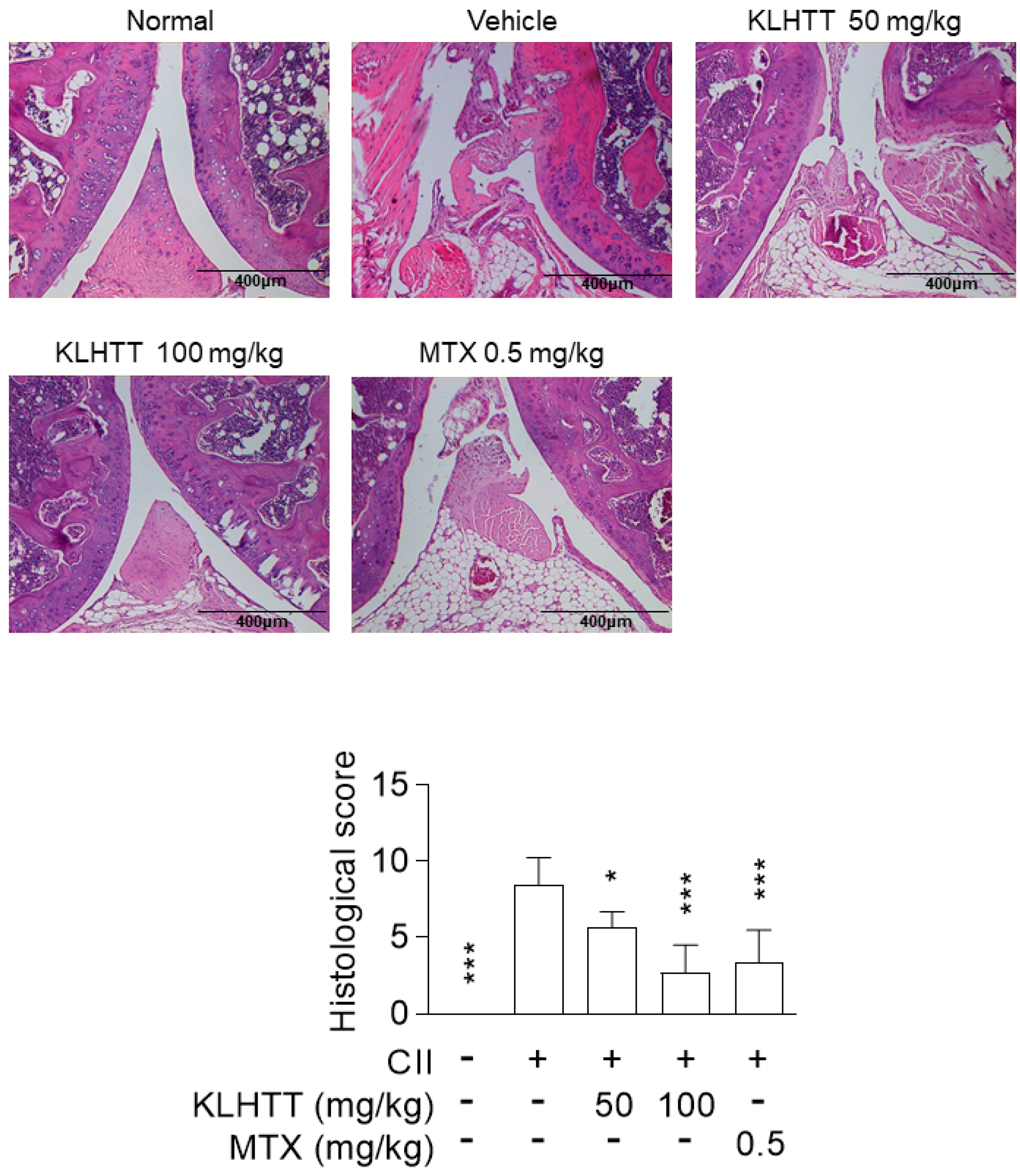 Life 10 00313 g003 Life 10 00313 g003