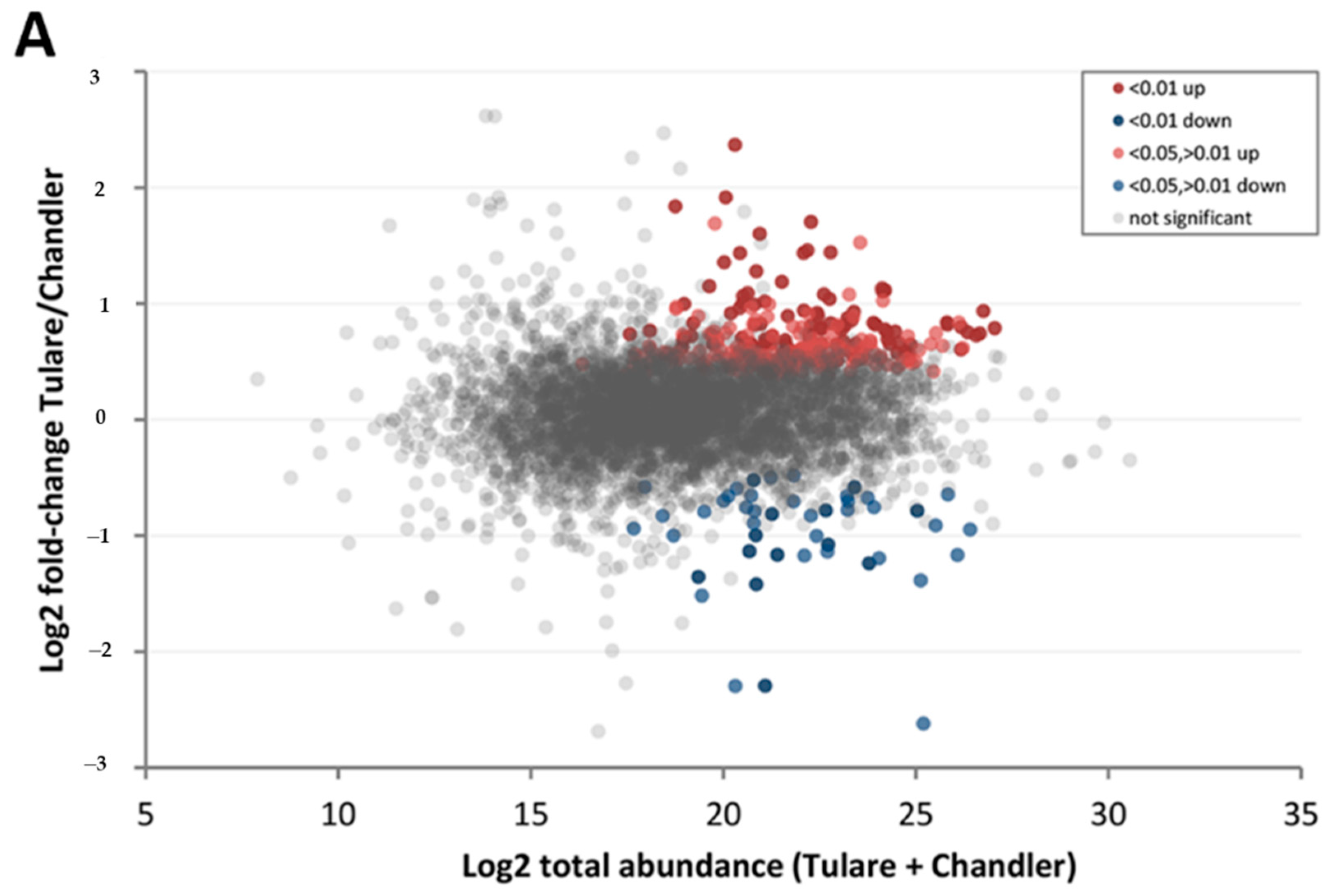 Life 10 00314 g007a Life 10 00314 g007a