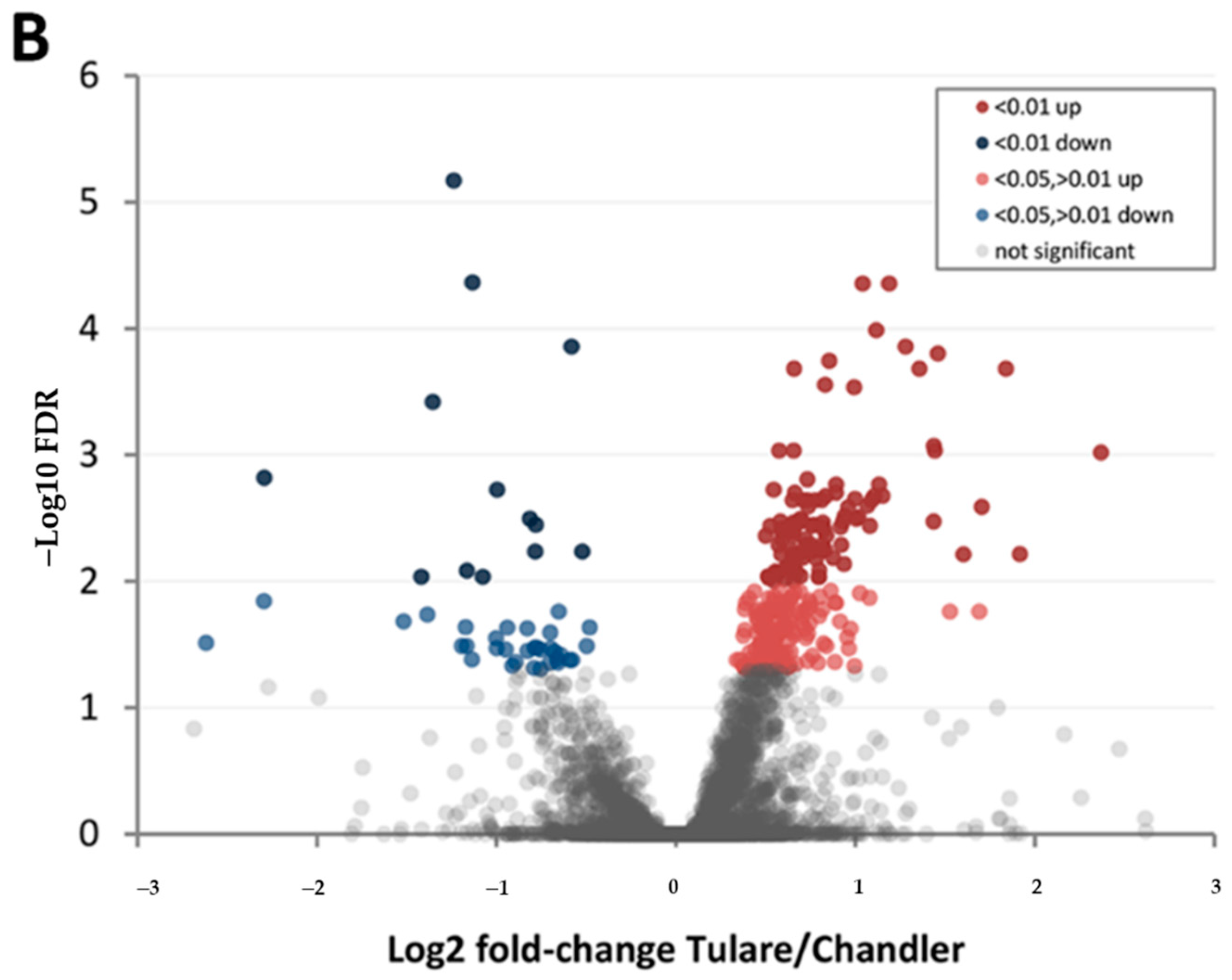 Life 10 00314 g007b Life 10 00314 g007b