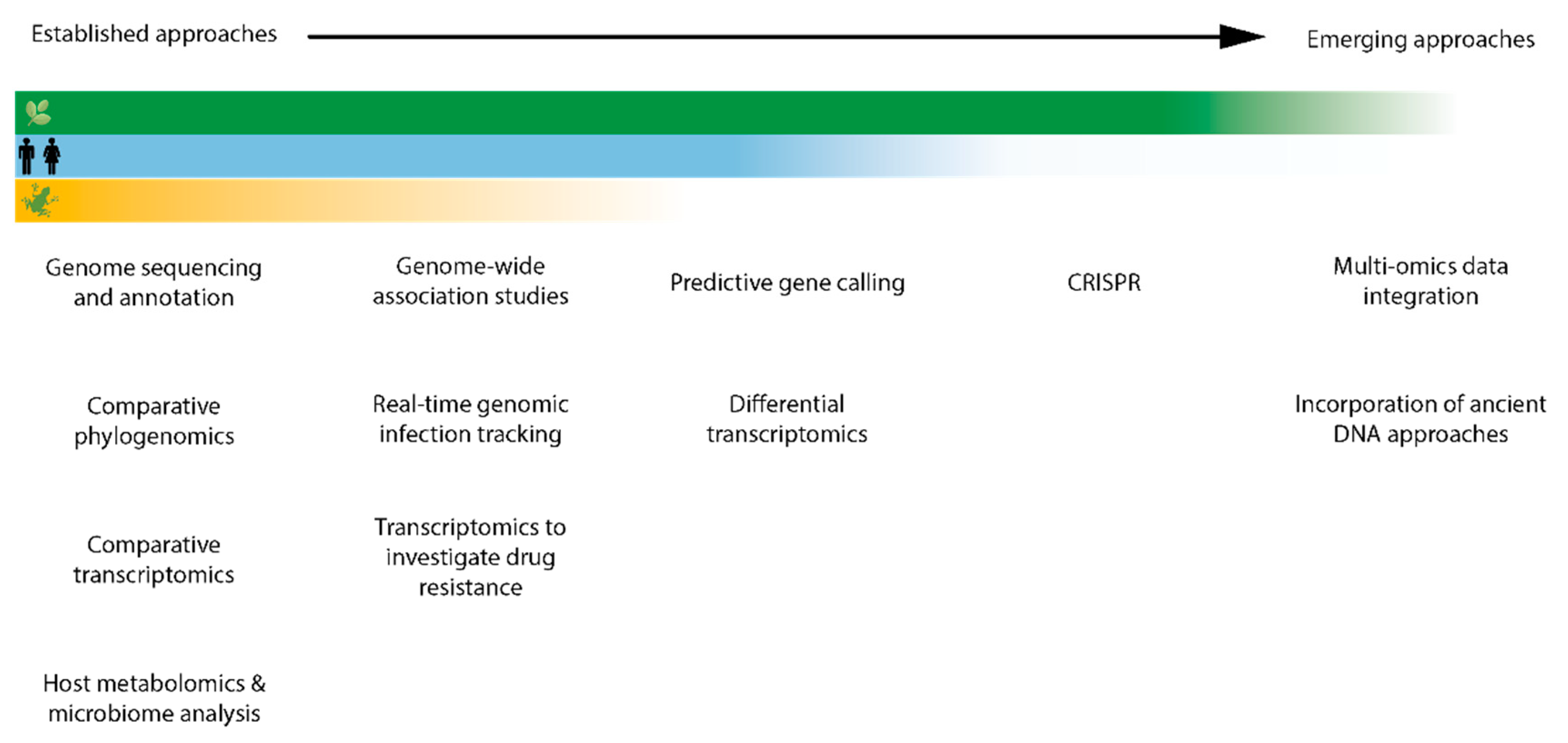 Life 10 00315 g001 Life 10 00315 g001