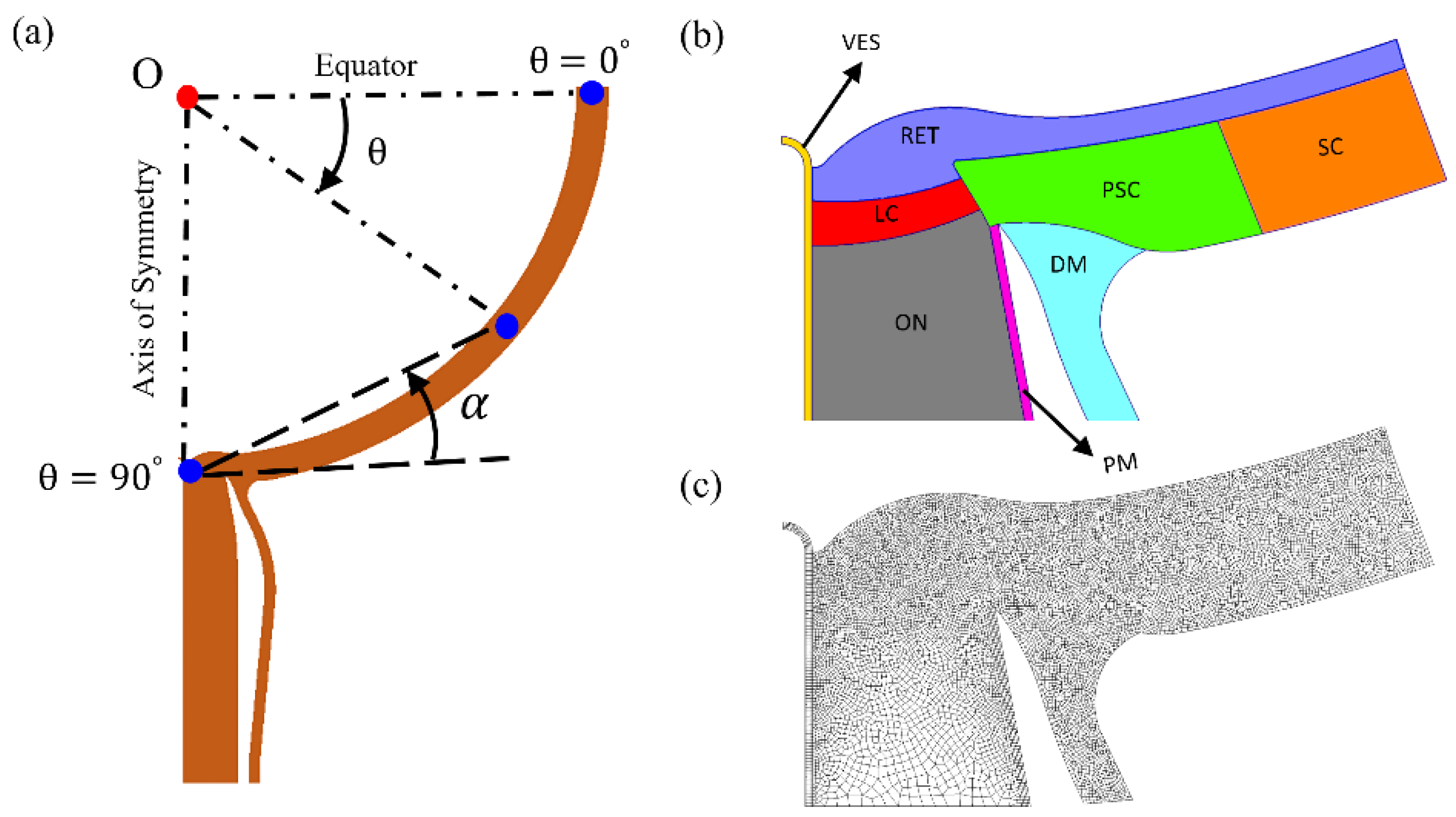 Life 10 00316 g001 Life 10 00316 g001