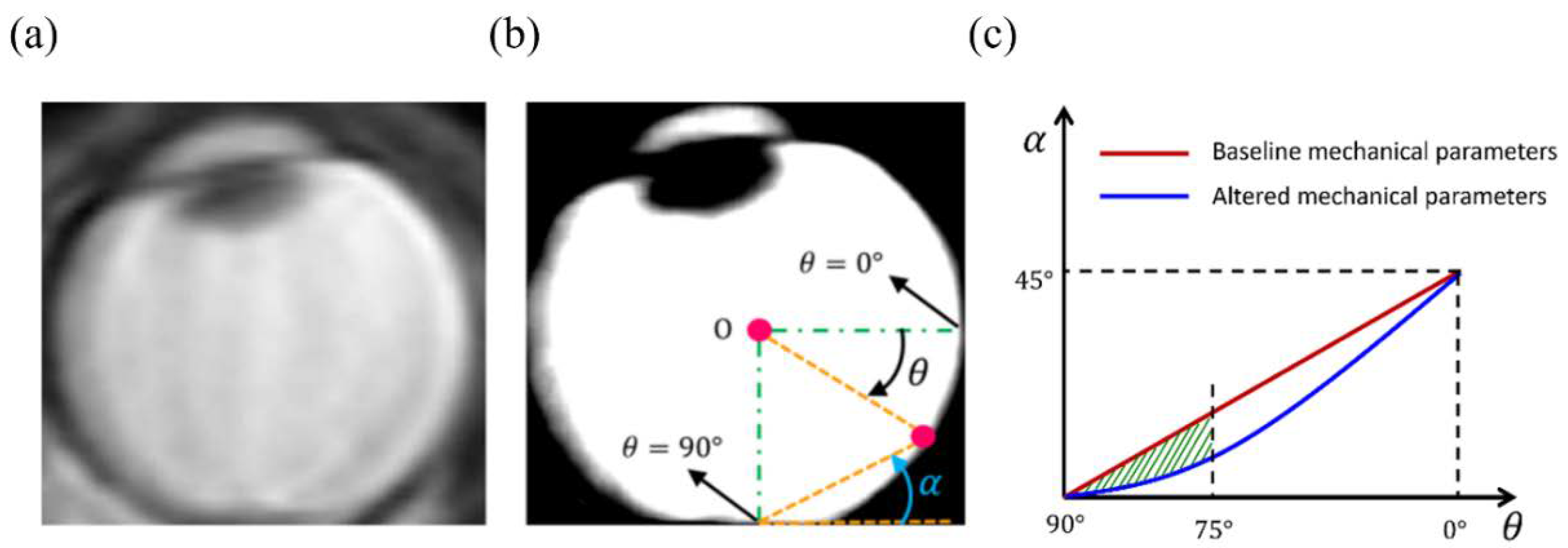 Life 10 00316 g002 Life 10 00316 g002