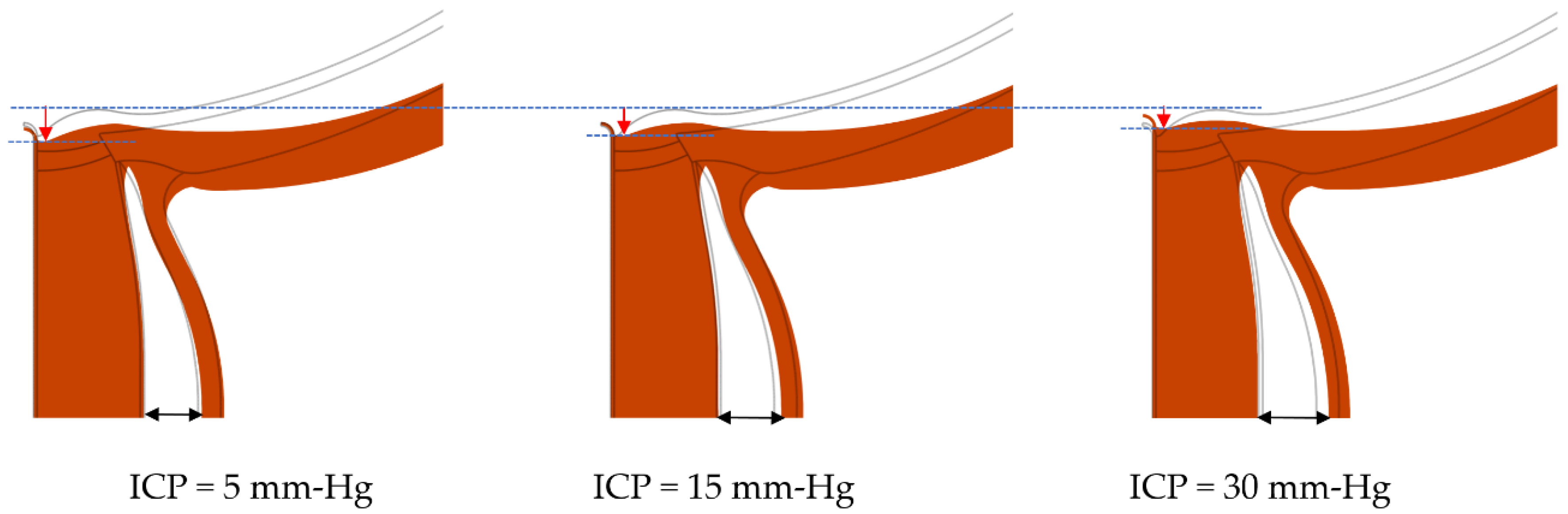 Life 10 00316 g003 Life 10 00316 g003