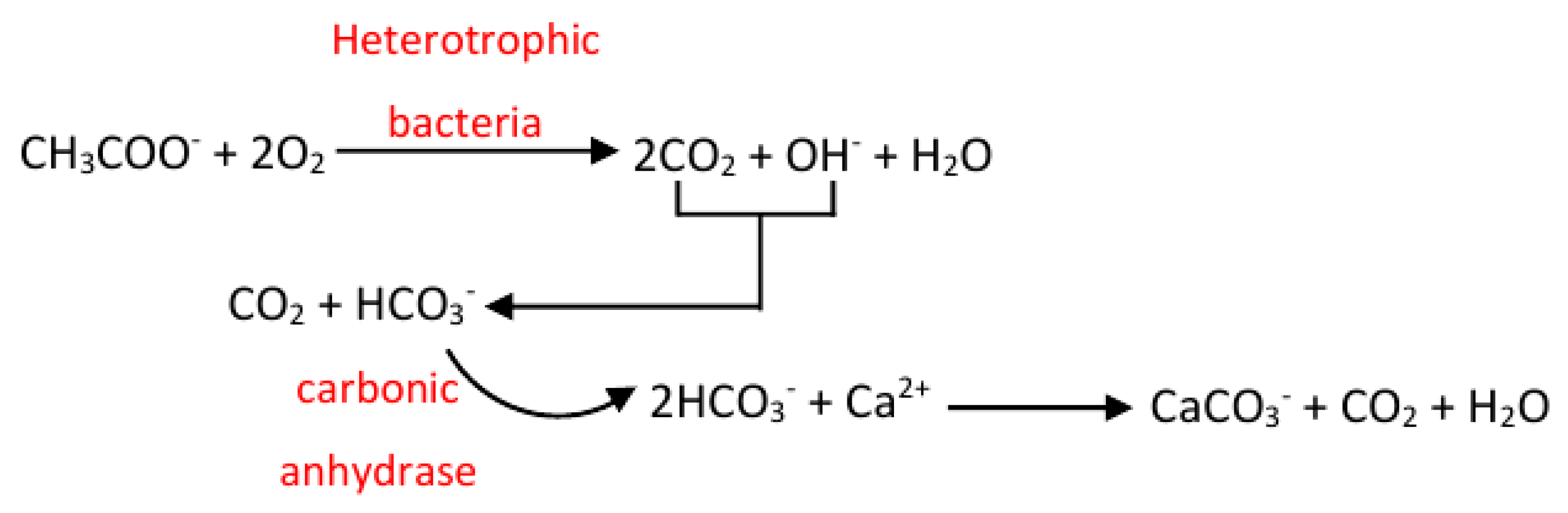 Life 10 00317 g002 Life 10 00317 g002