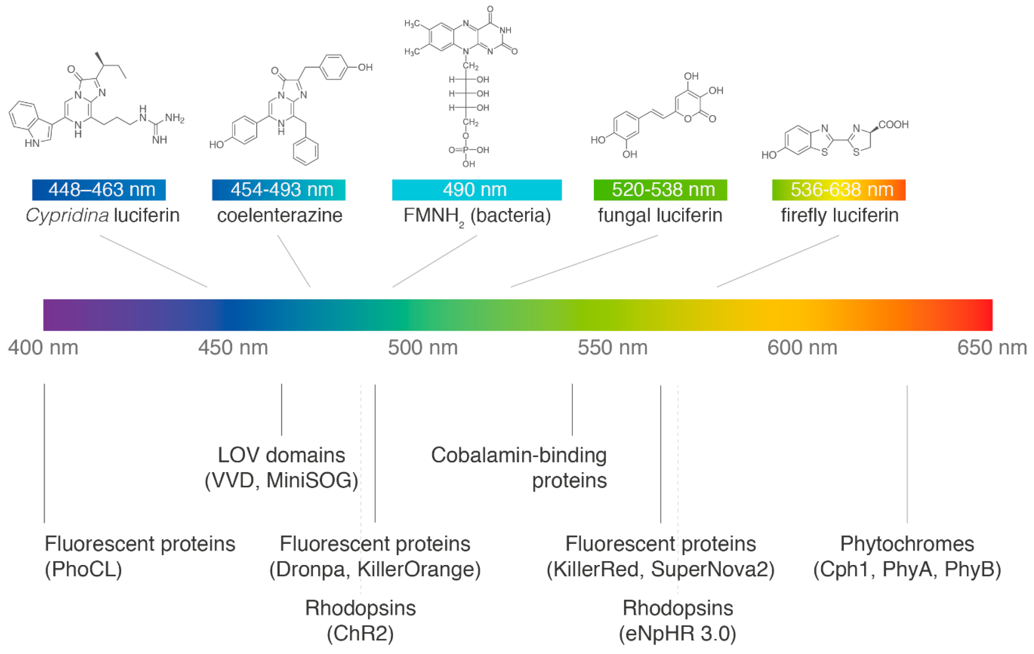 Life 10 00318 g001 Life 10 00318 g001