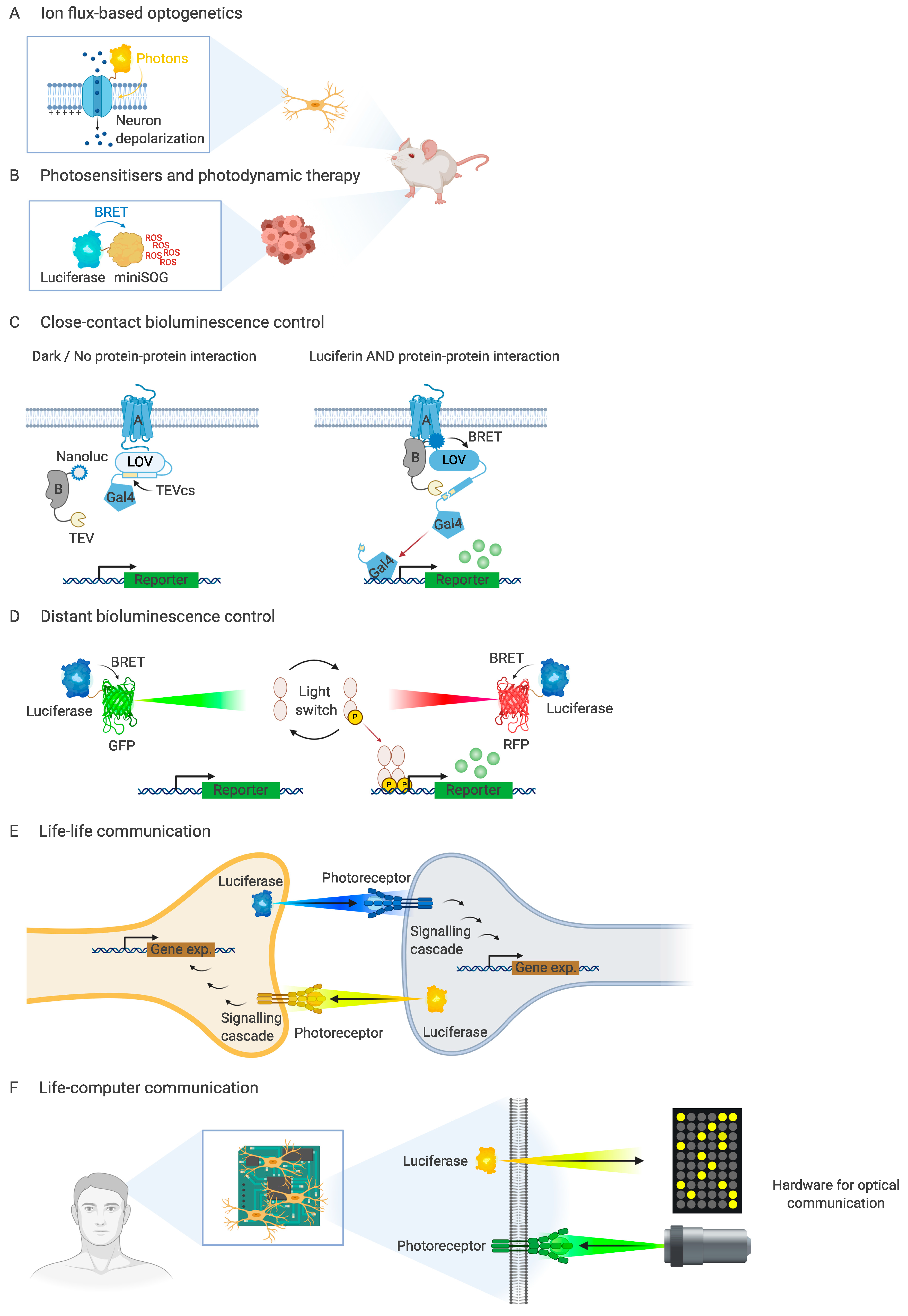 Life 10 00318 g002 Life 10 00318 g002