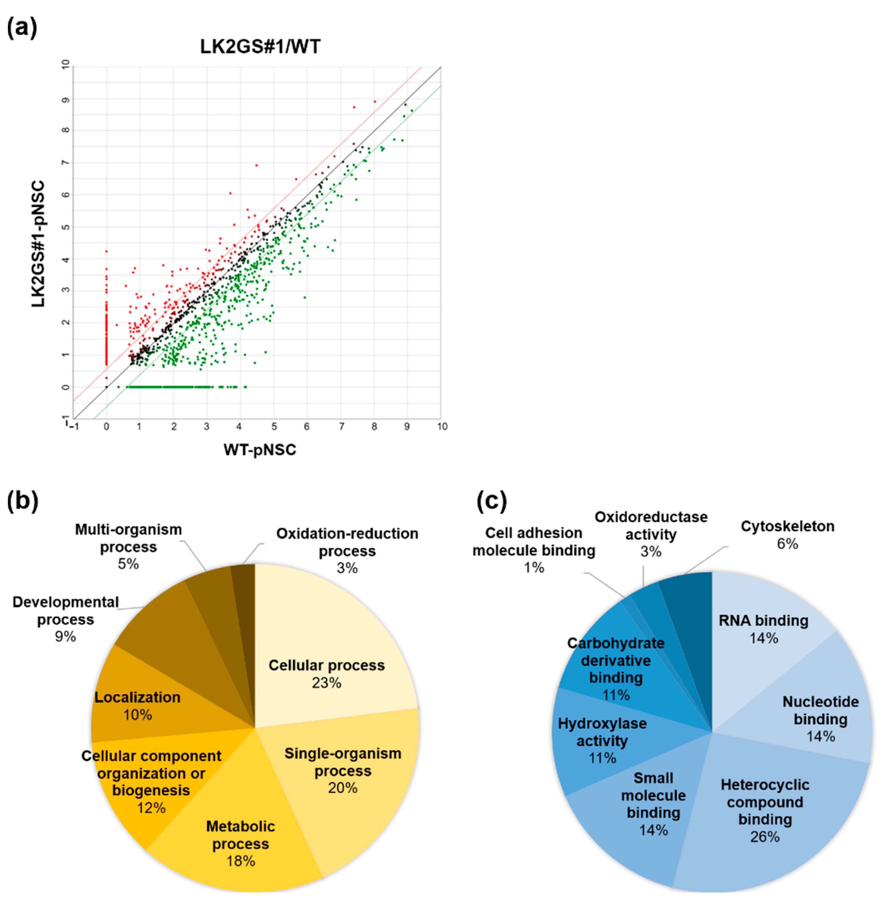 Life 10 00331 g003 Life 10 00331 g003