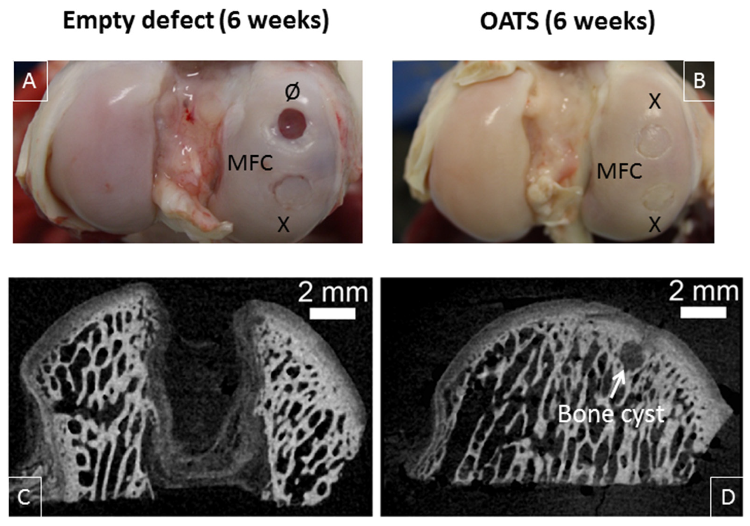 Life 10 00332 g004 Life 10 00332 g004