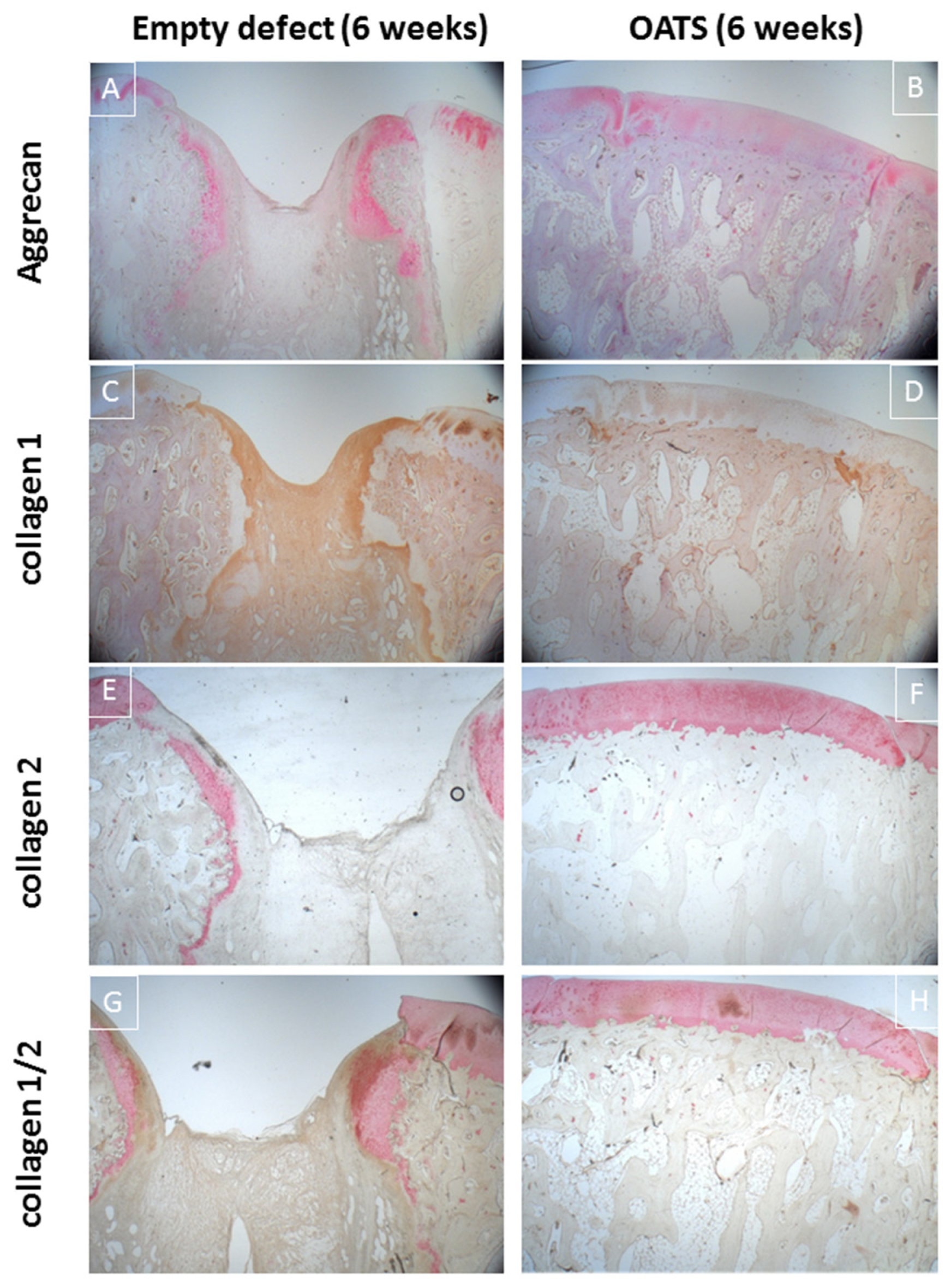 Life 10 00332 g006 Life 10 00332 g006