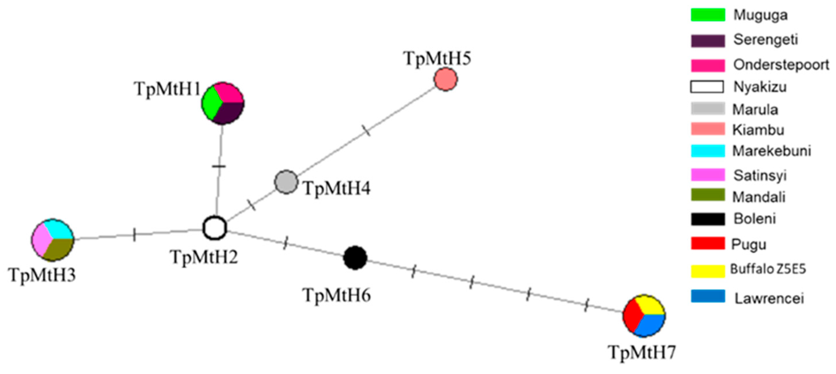 Life 10 00334 g004 Life 10 00334 g004