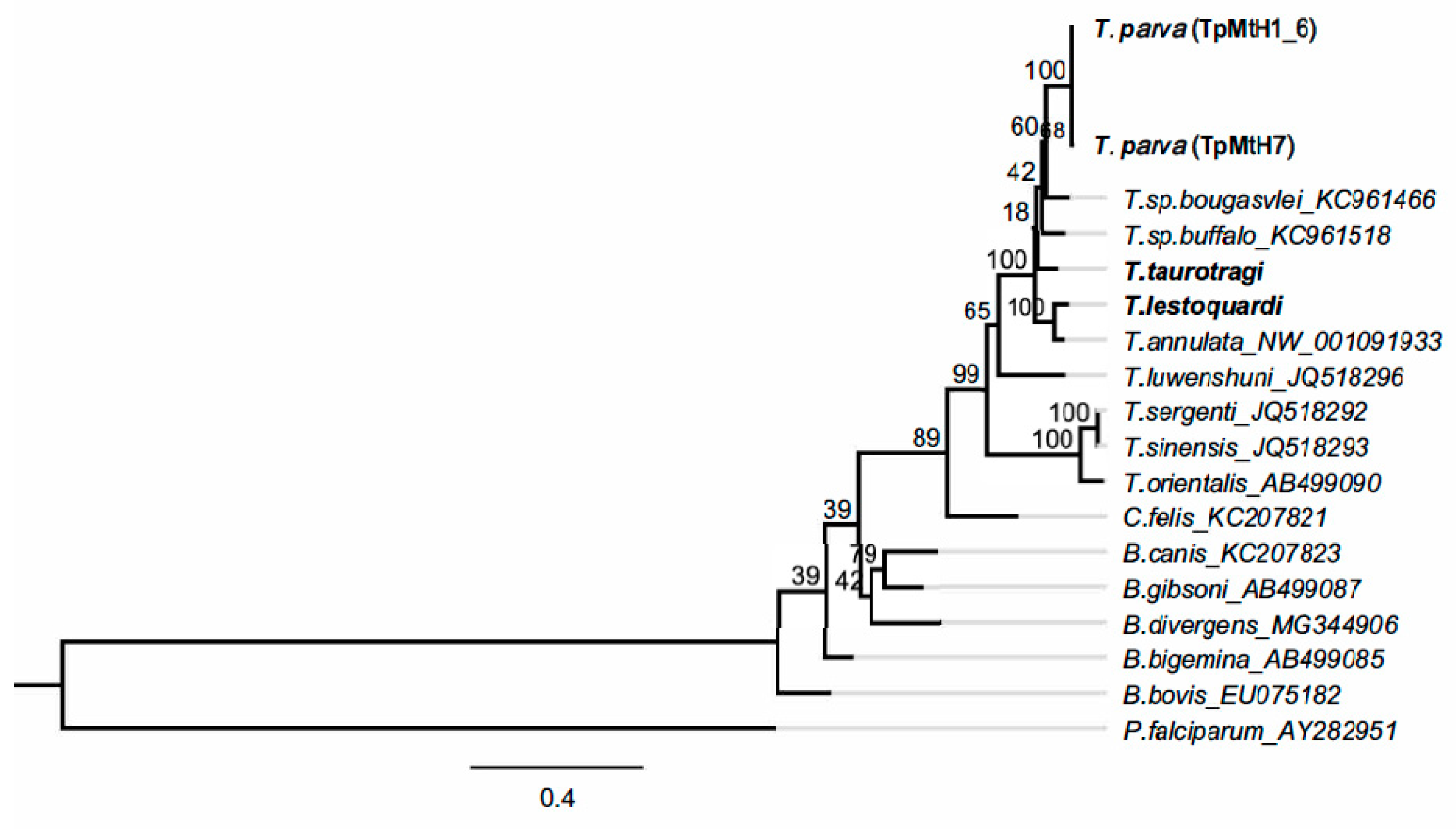 Life 10 00334 g0a1 Life 10 00334 g0a1