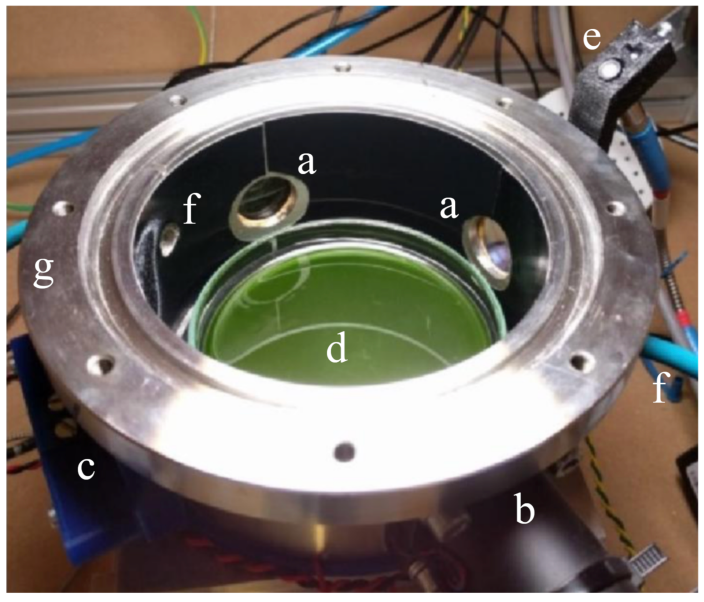 Life 11 00010 g004 Life 11 00010 g004